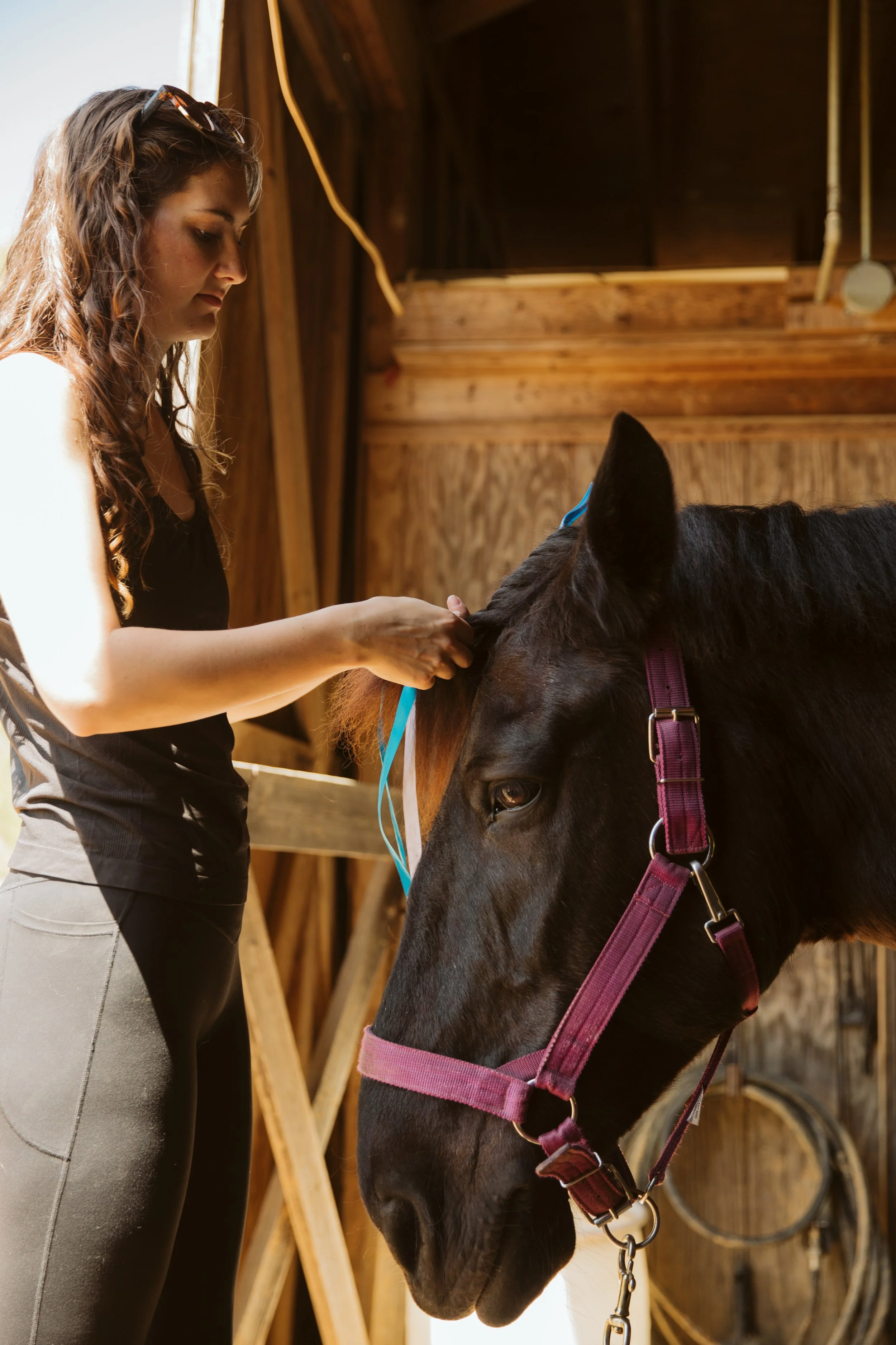 stephany-barboza-ga-horse-photographer1K9A1814.jpg
