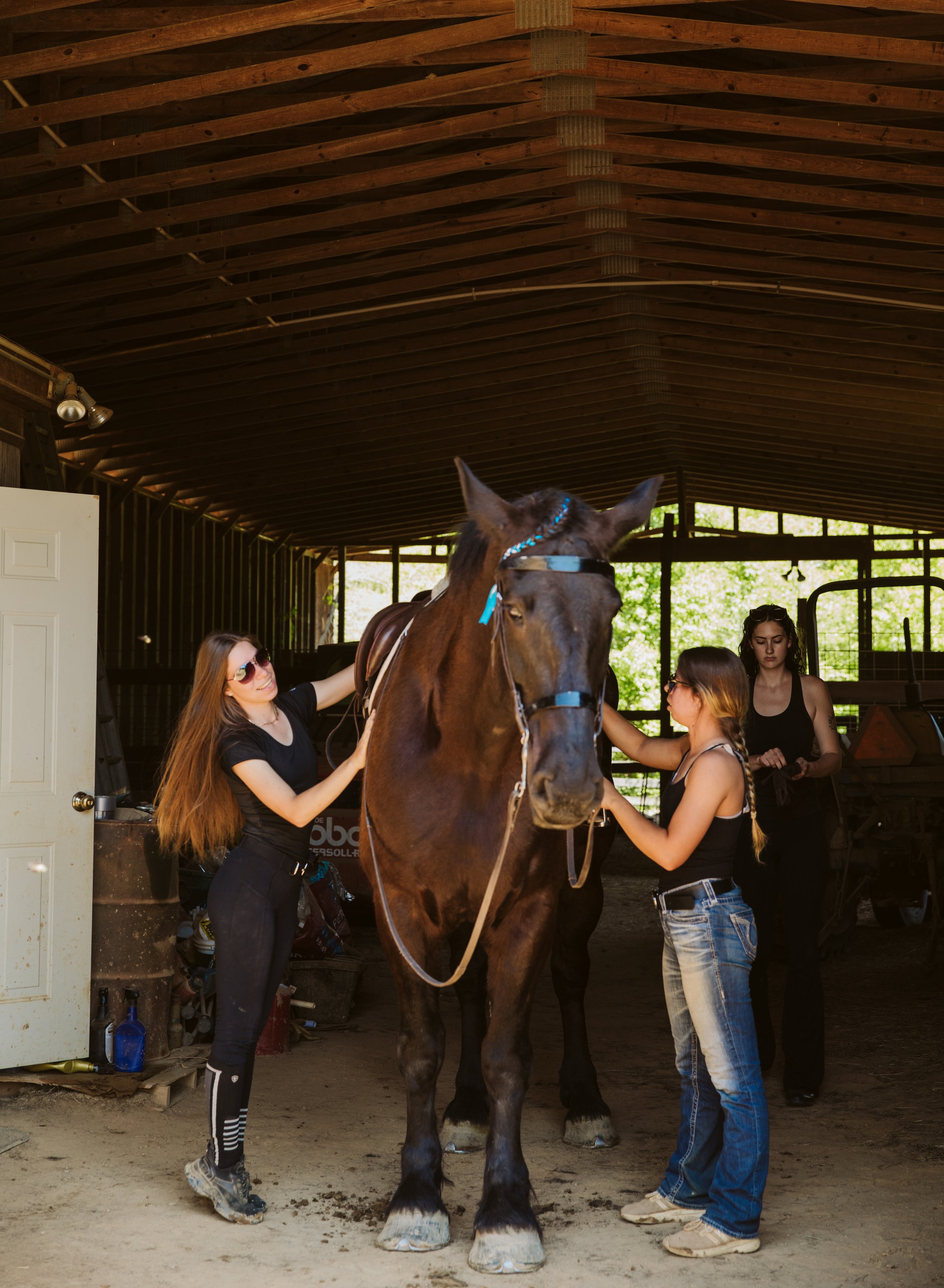 stephany-barboza-ga-horse-photographer1K9A1909.jpg