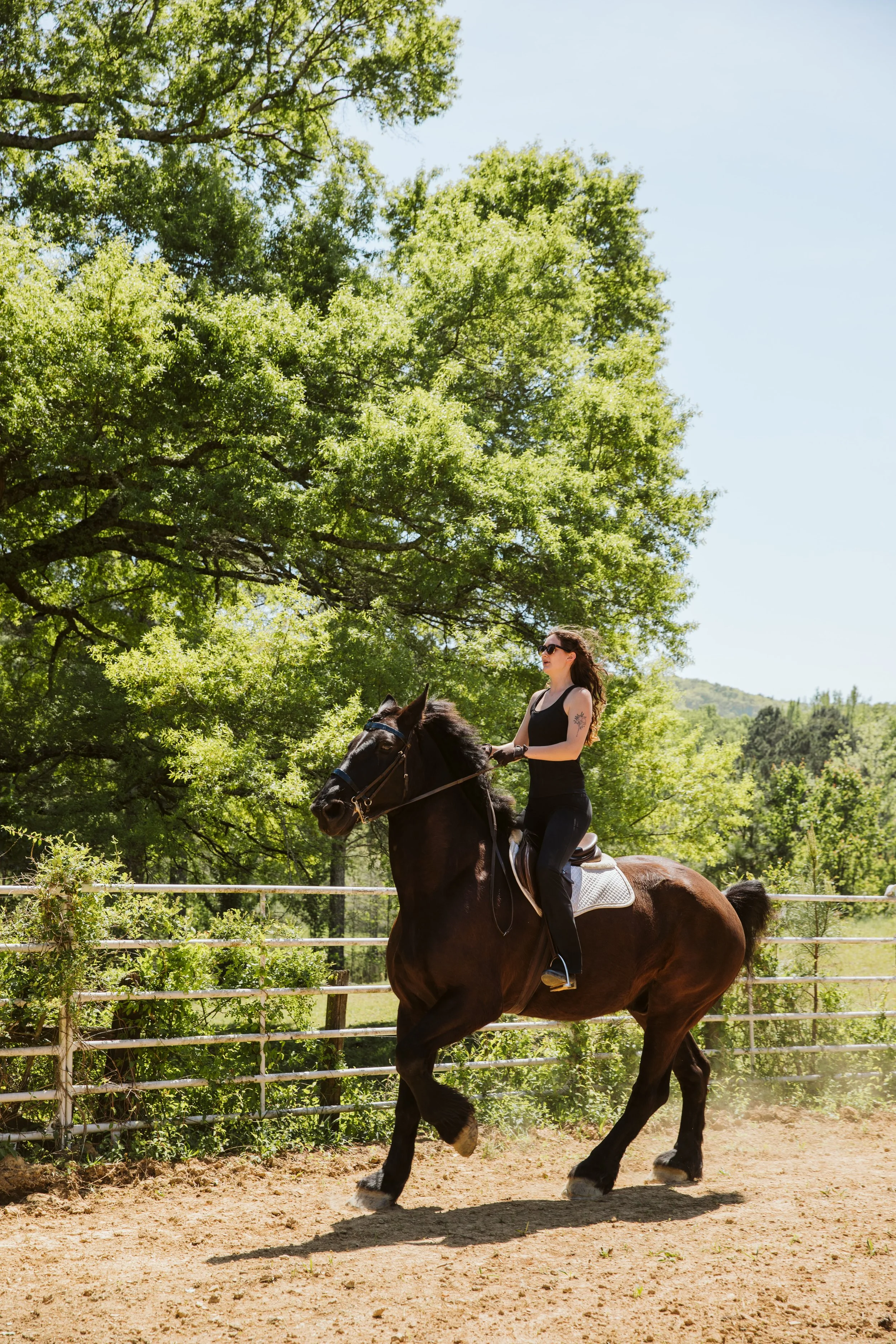 stephany-barboza-ga-horse-photographer1K9A1963.jpg