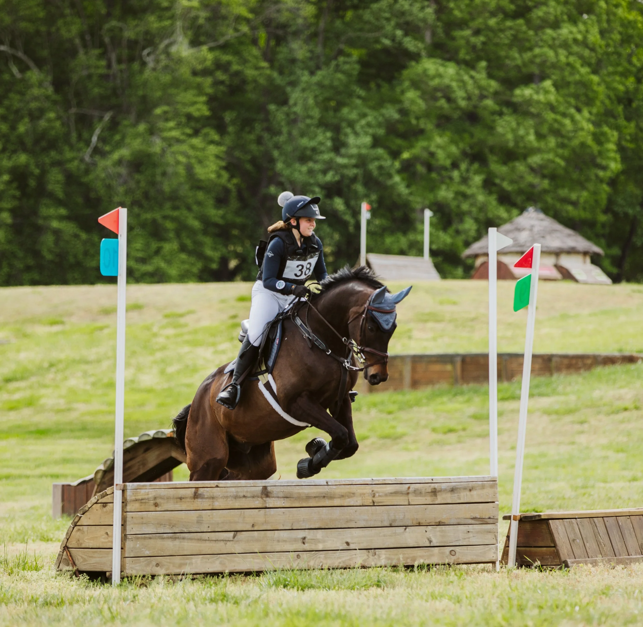 Eventing horse jumping cross-country fence
