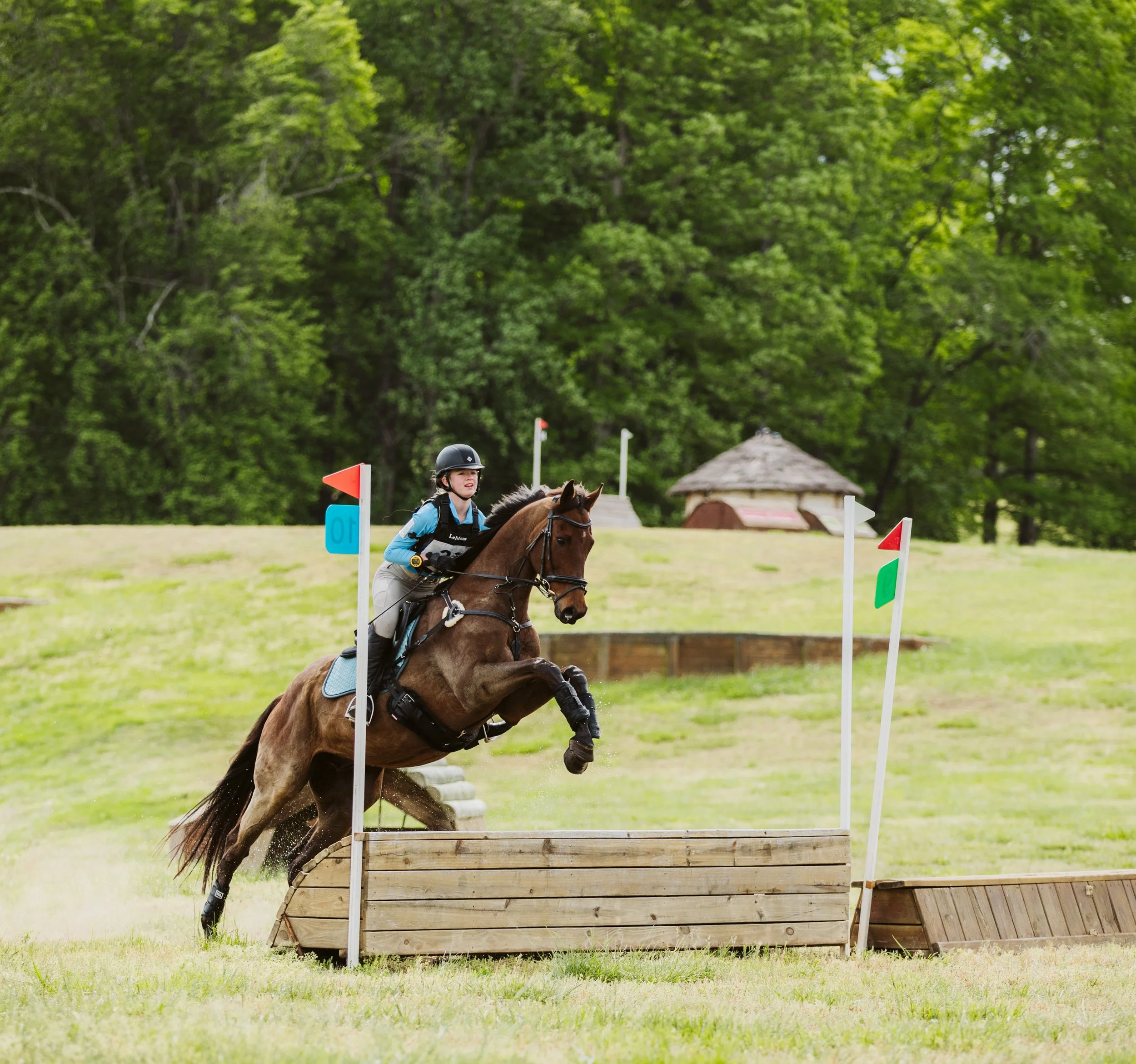 Cross-country horse jump in equestrian competition