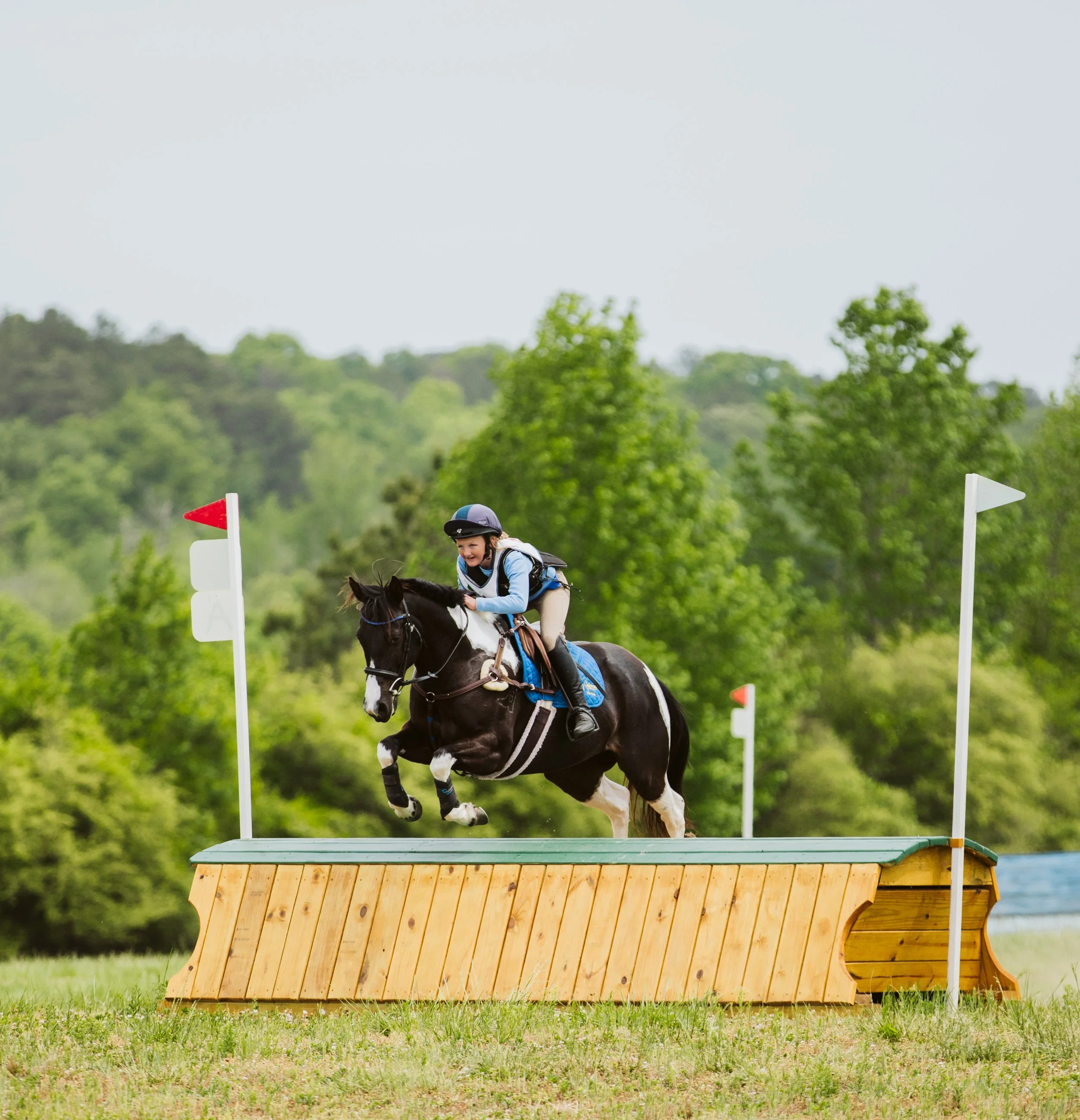 Black horse jumping solid cross-country obstacle