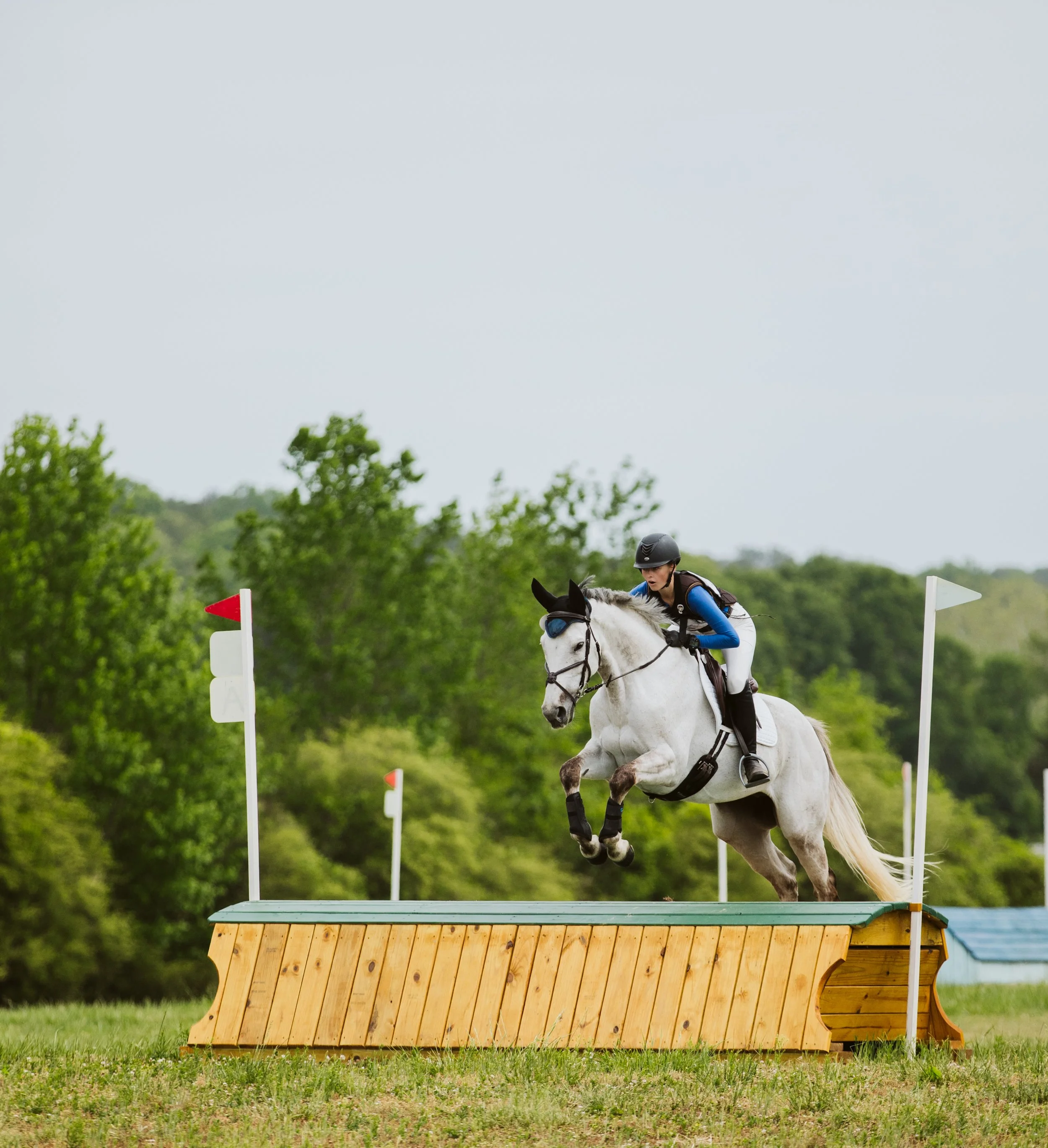 Grey horse jumping eventing obstacle