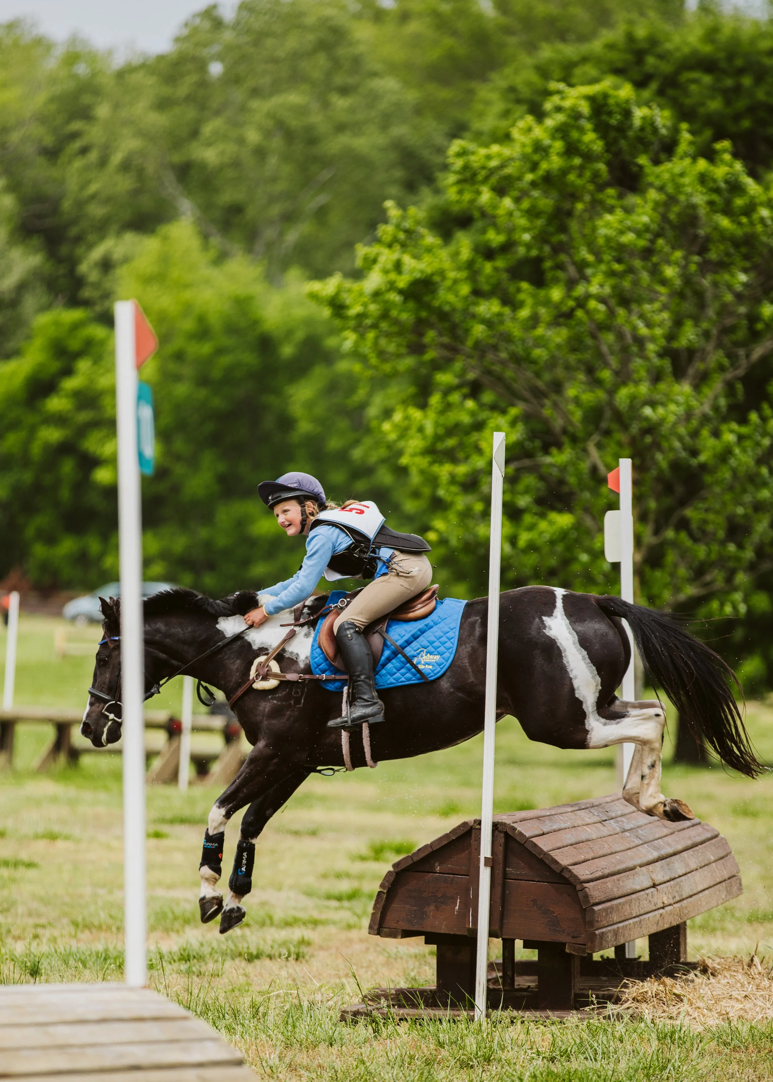 Horse and rider jumping small cross-country fence