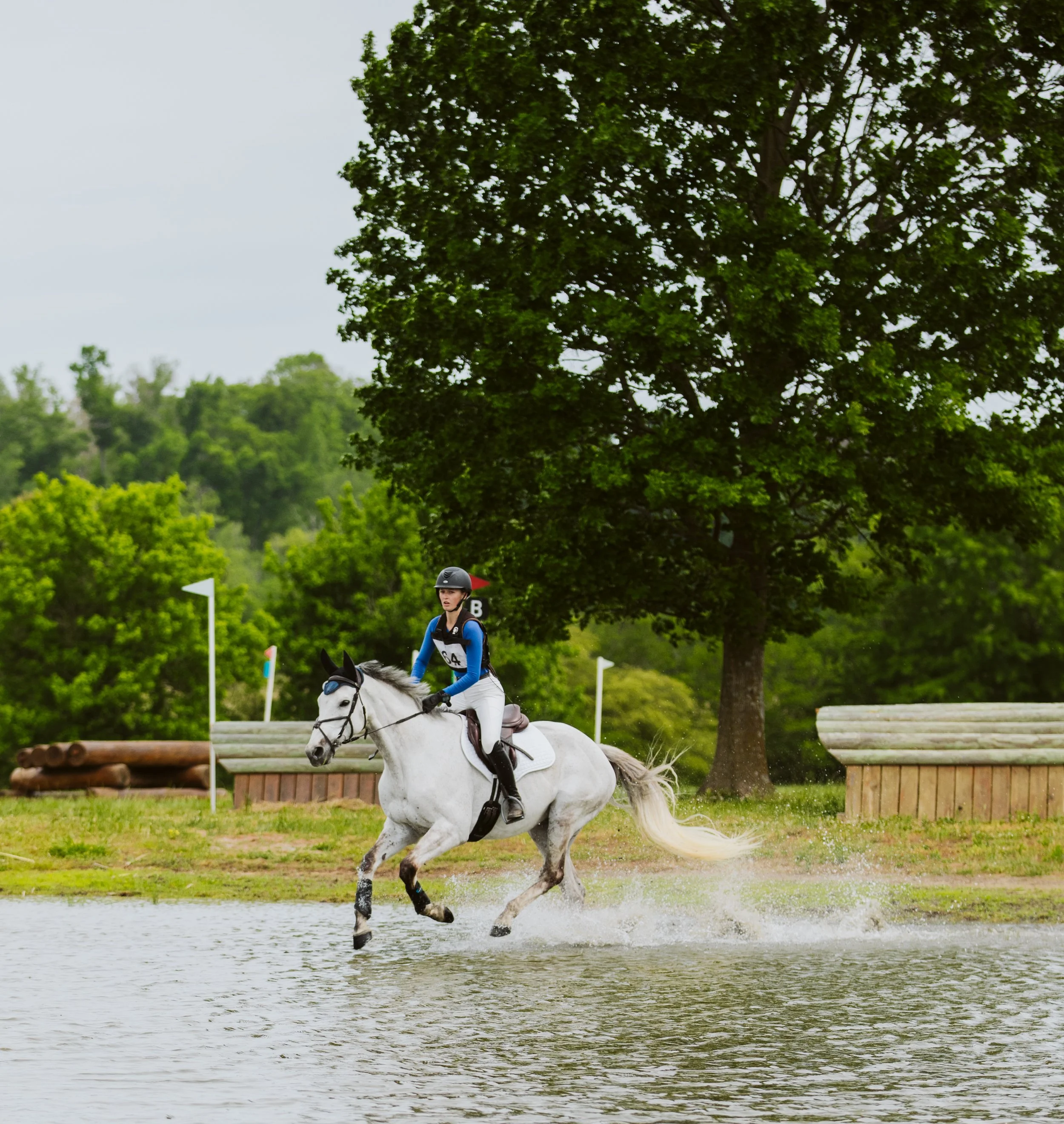 Grey horse running through water obstacle