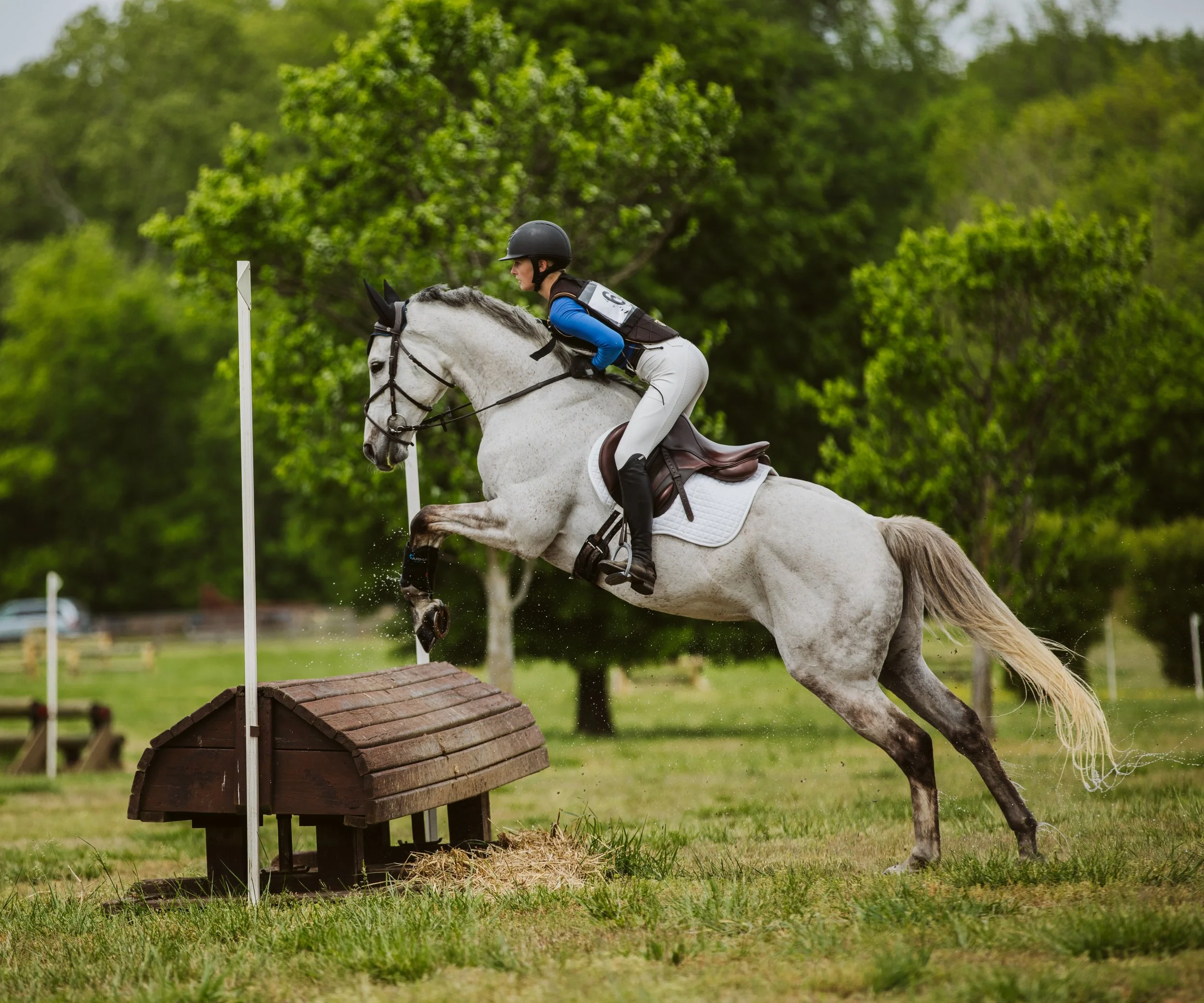 Grey horse jumping rustic cross-country fence