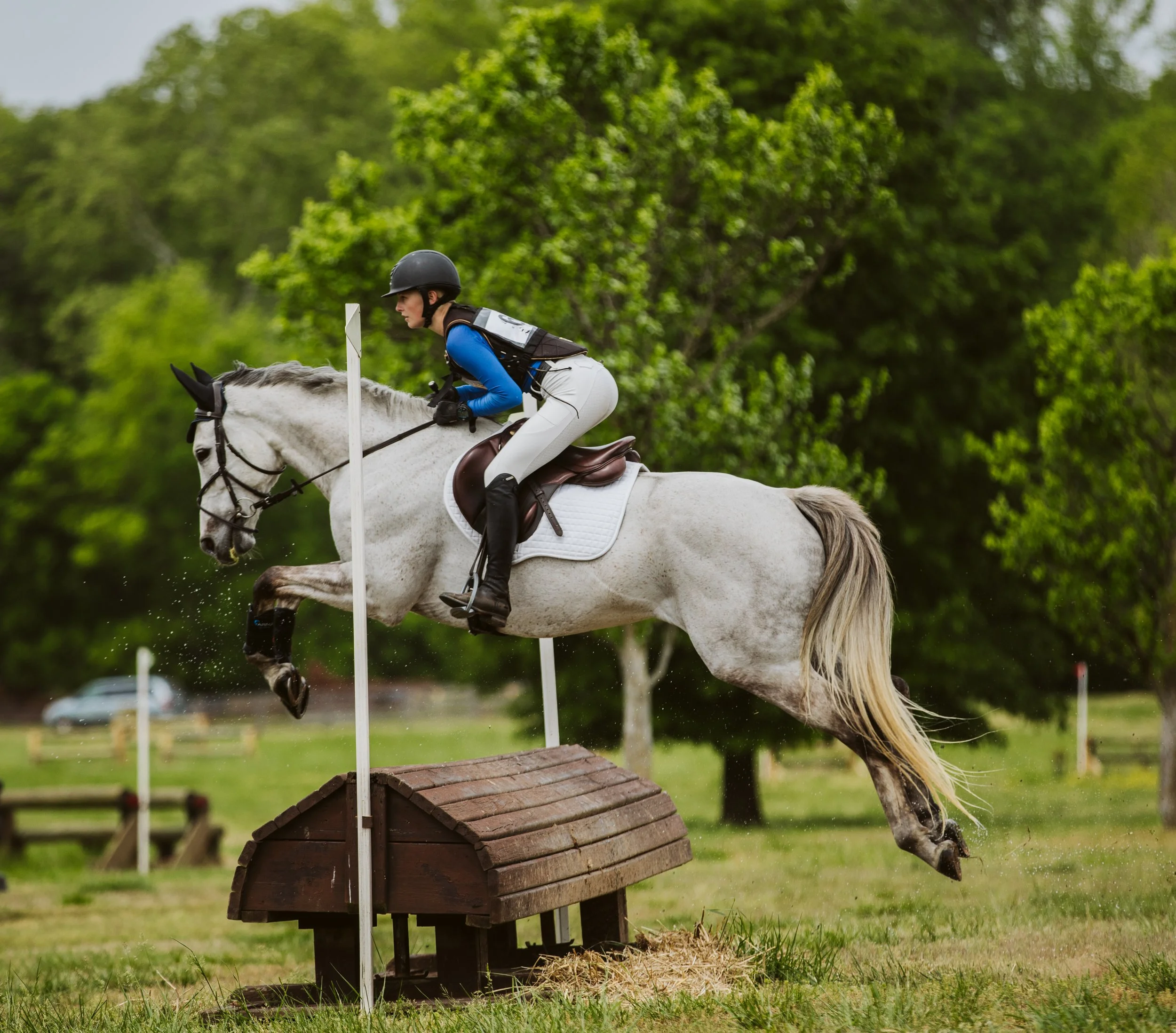Side view of horse jumping eventing fence