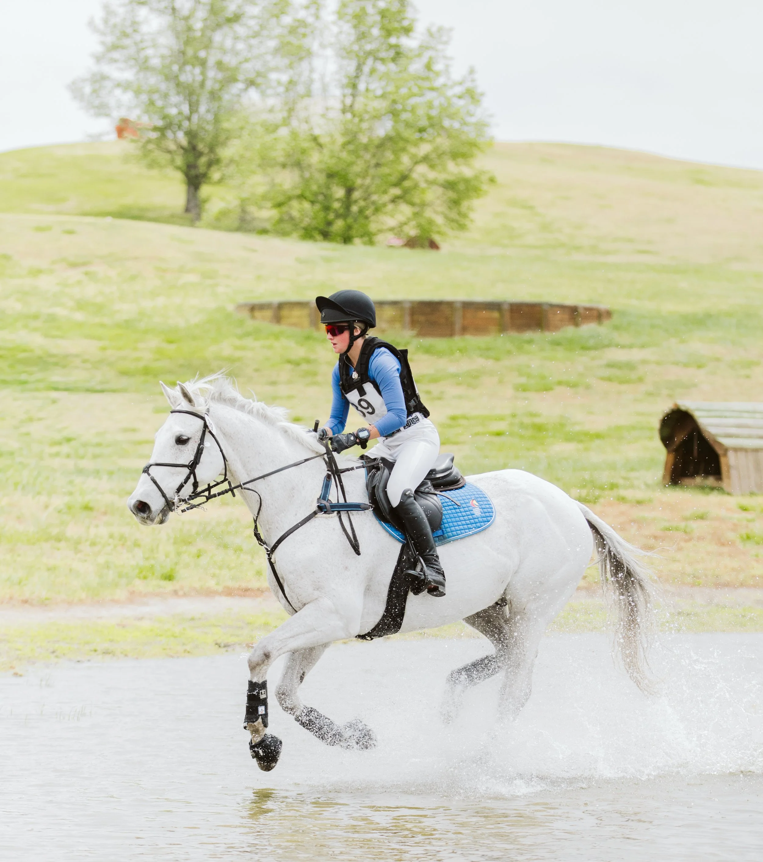Grey horse splashing through water jump