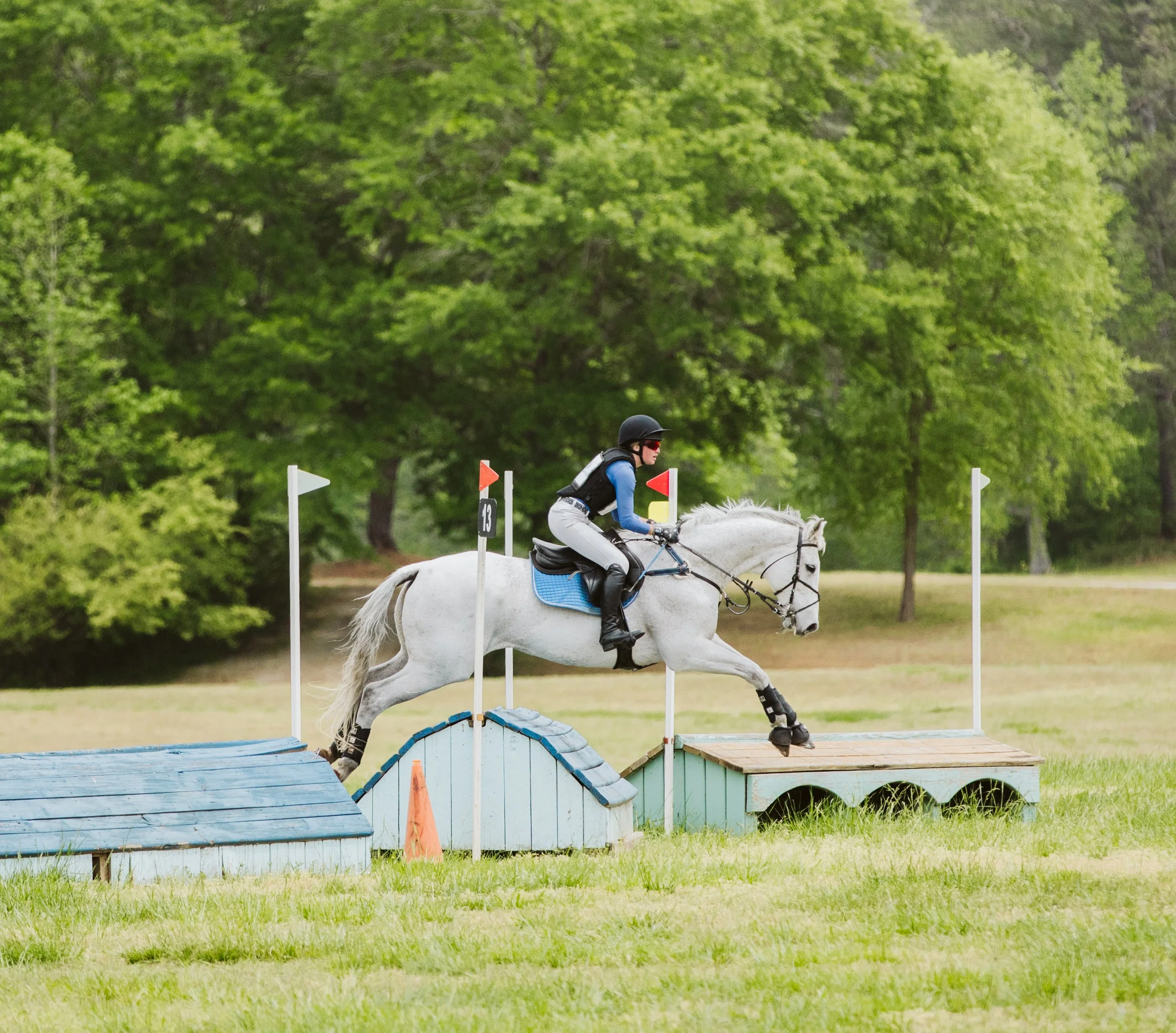Grey horse jumping blue cross-country complex