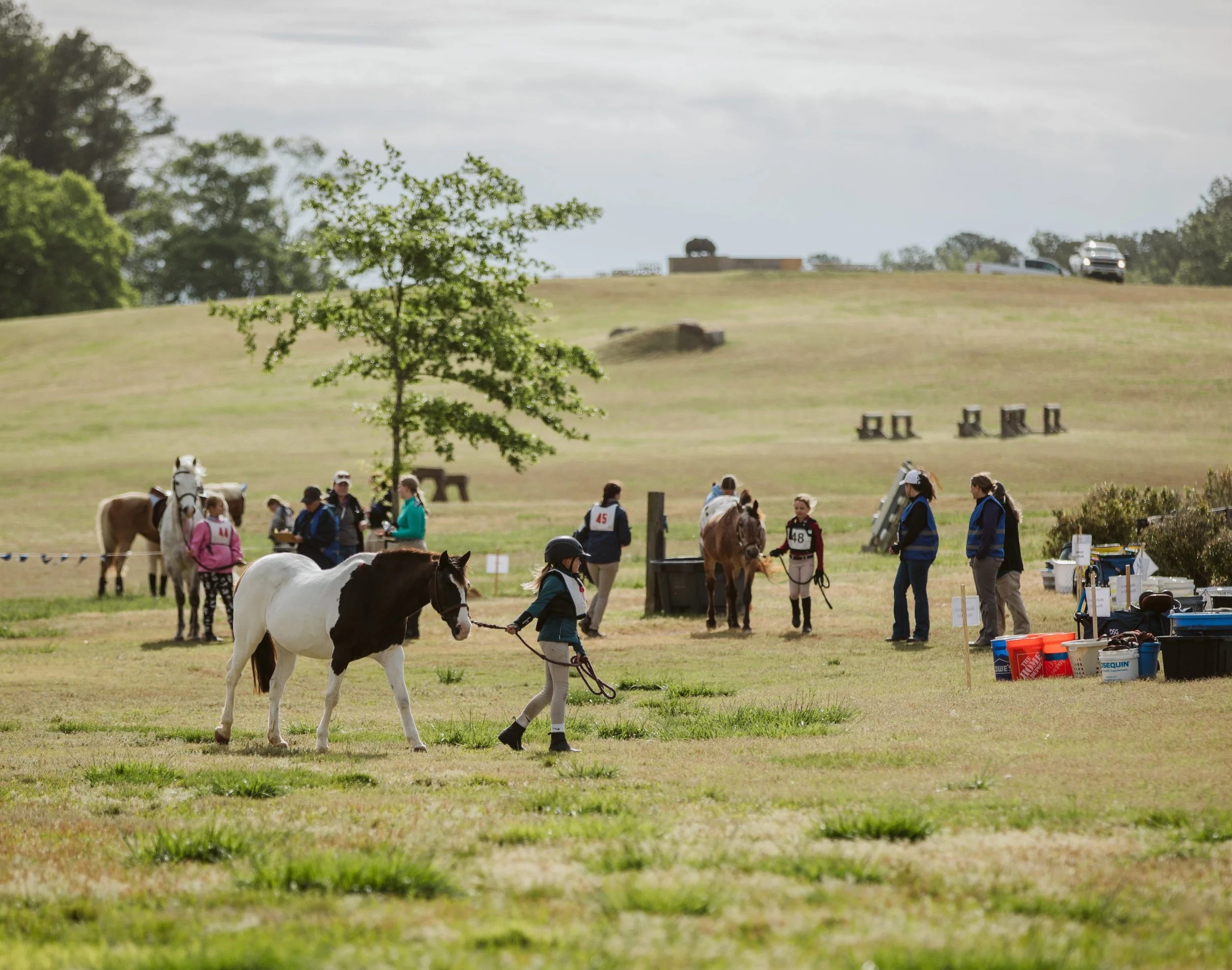 Riders and horses at equestrian event grounds