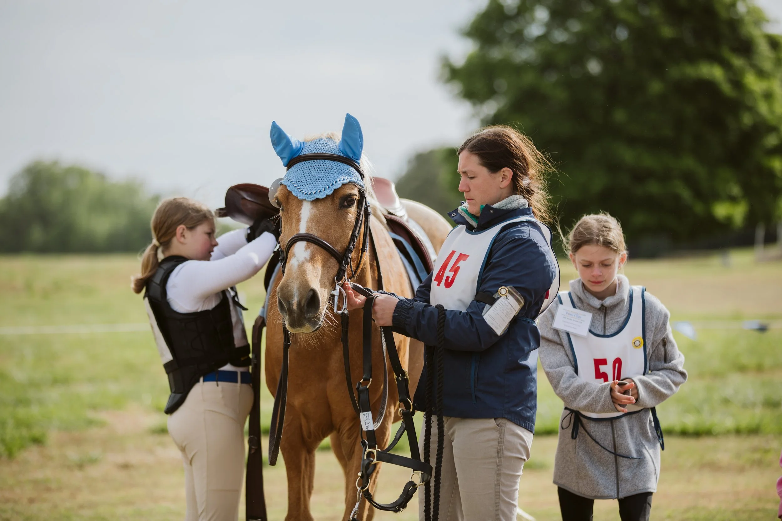 Young riders preparing horse for competition