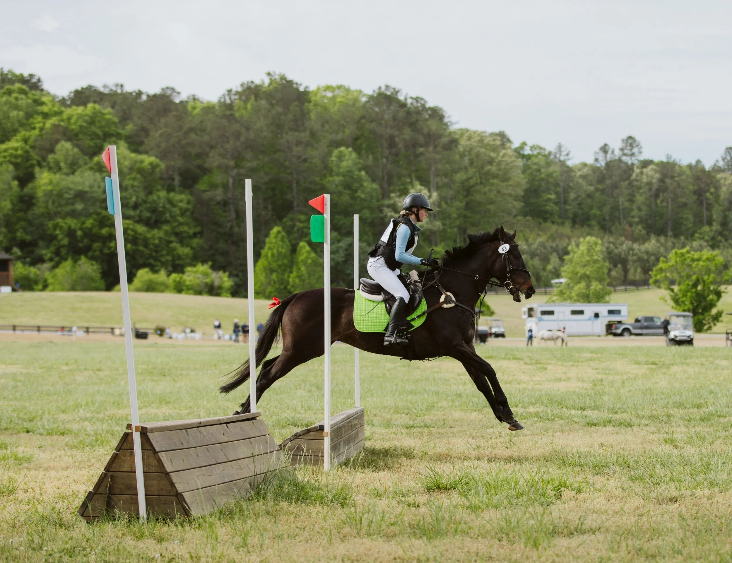 Black horse jumping beginner cross-country fence