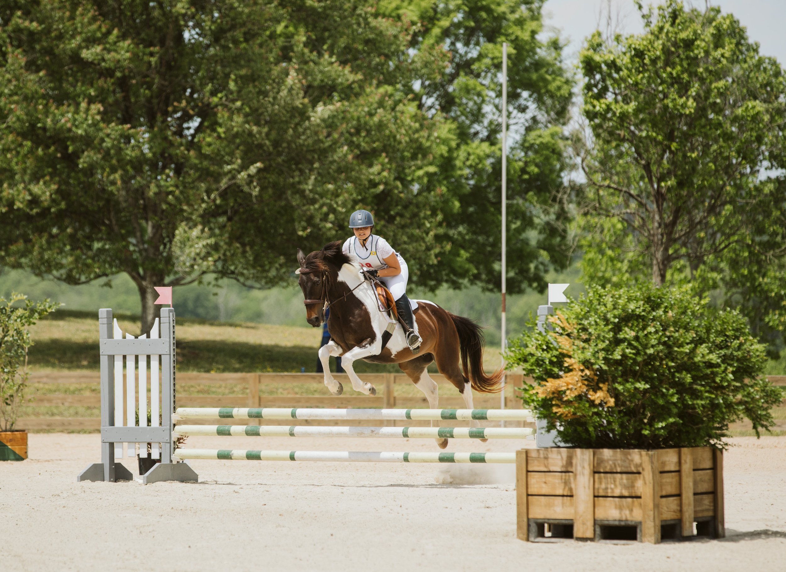 stephany-barboza-equestrian-ga-photographer1K9A7908.jpg
