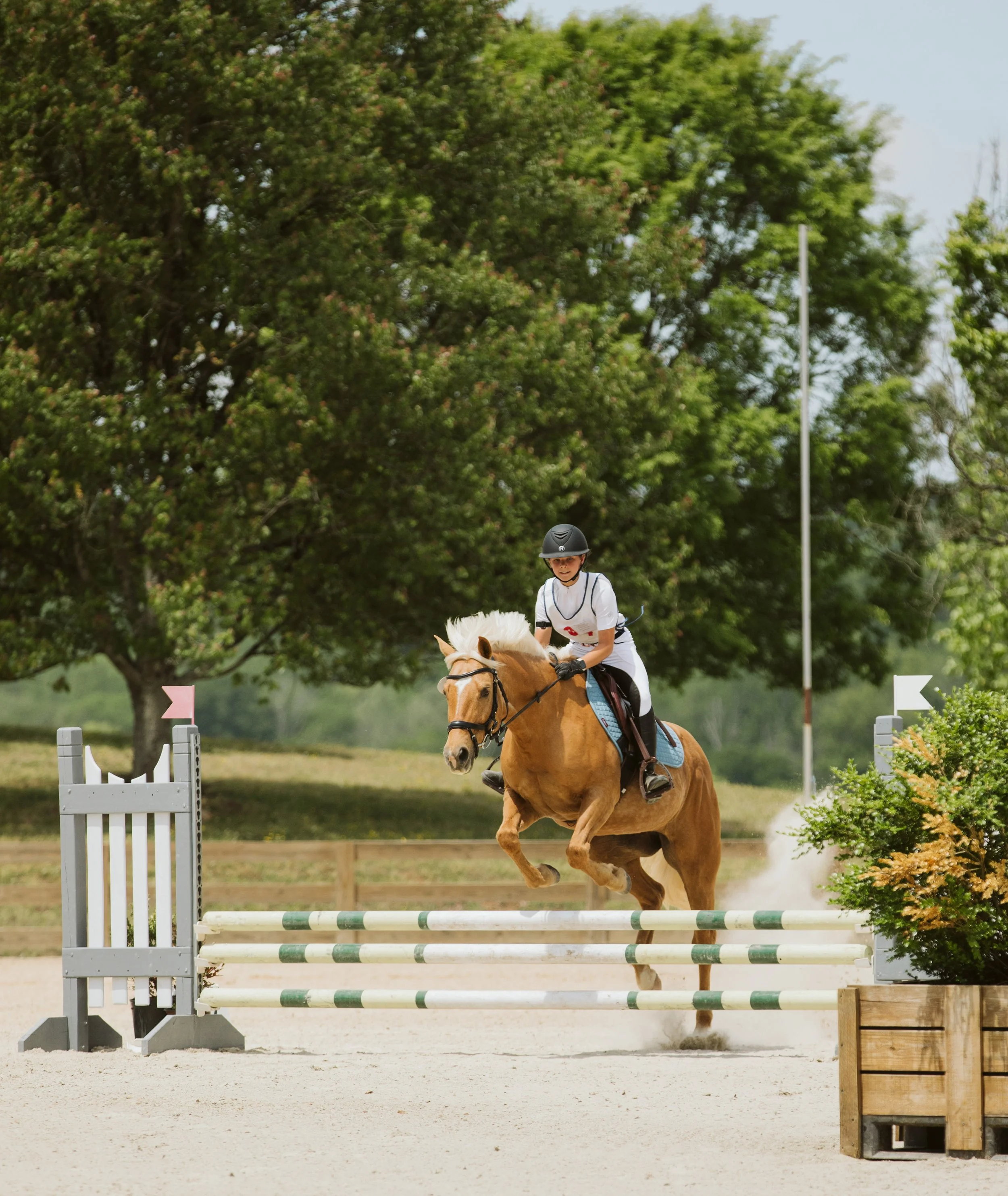 stephany-barboza-equestrian-ga-photographer1K9A7974.jpg