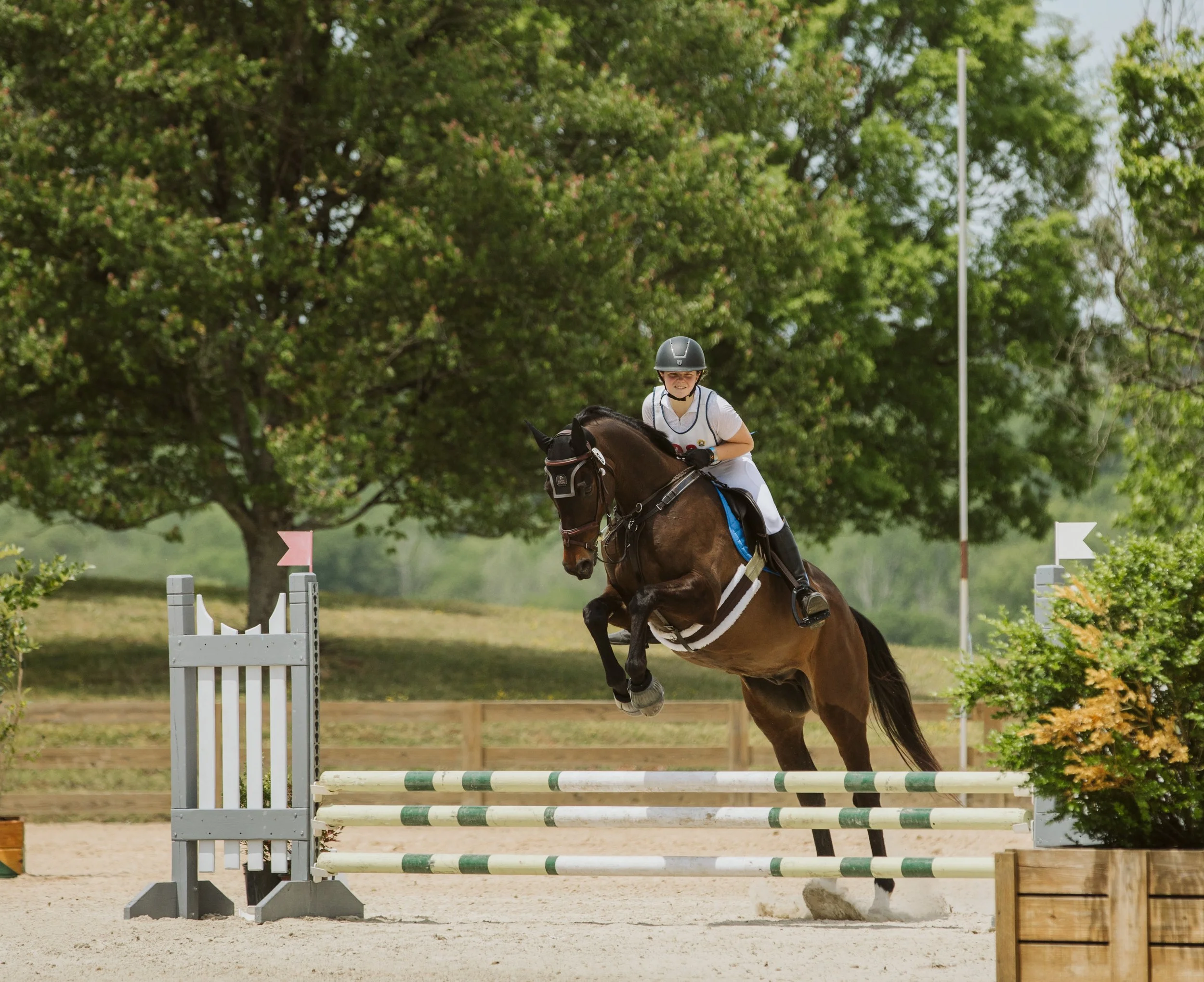 stephany-barboza-equestrian-ga-photographer1K9A8038 2.jpg