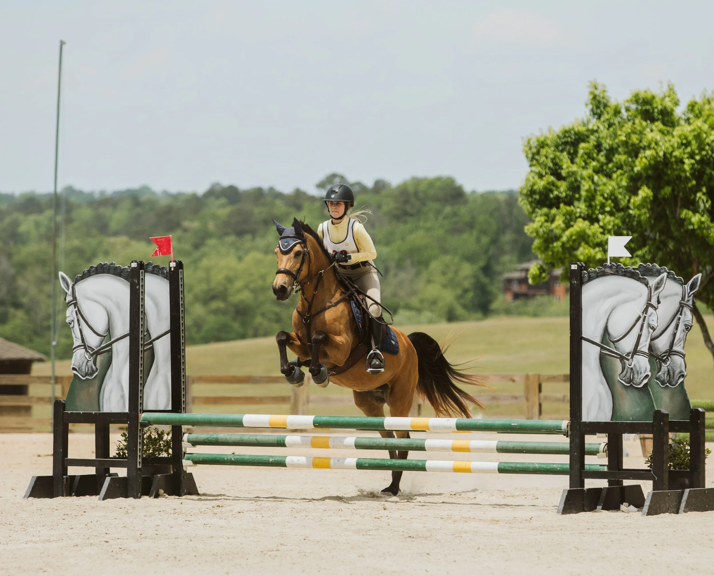 stephany-barboza-equestrian-ga-photographer1K9A8089.jpg