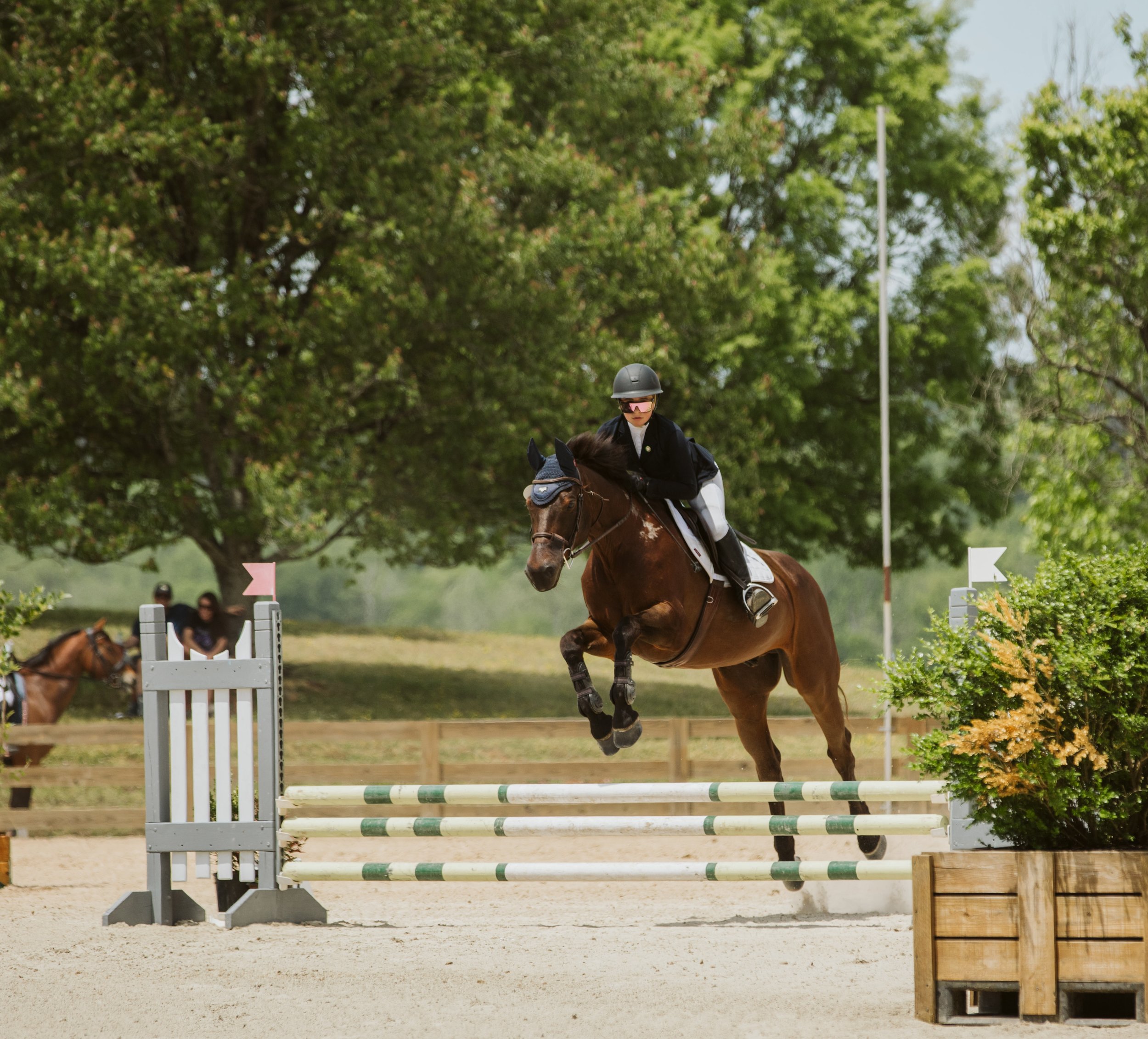 stephany-barboza-equestrian-ga-photographer1K9A8107.jpg