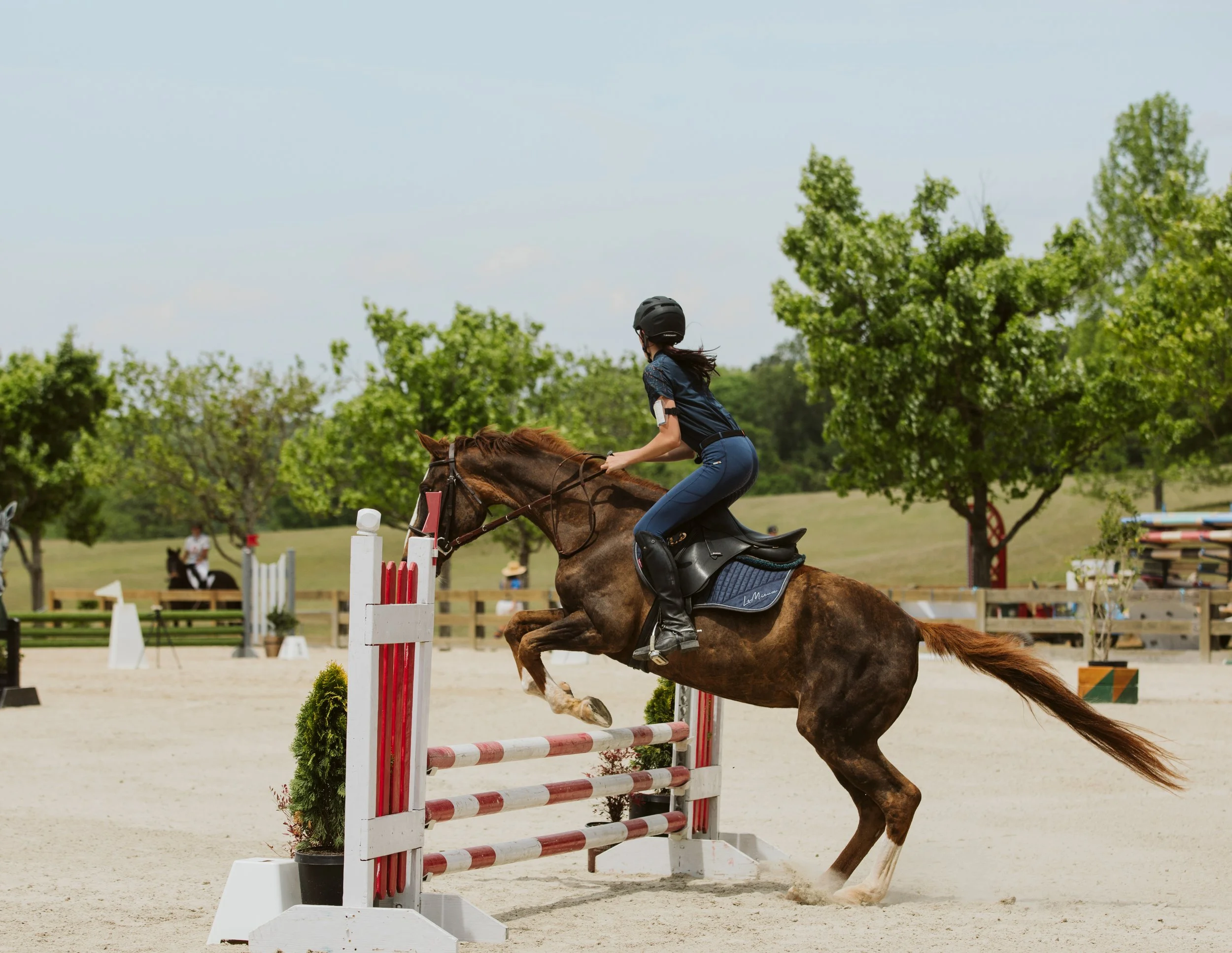 stephany-barboza-equestrian-ga-photographer1K9A8185.jpg
