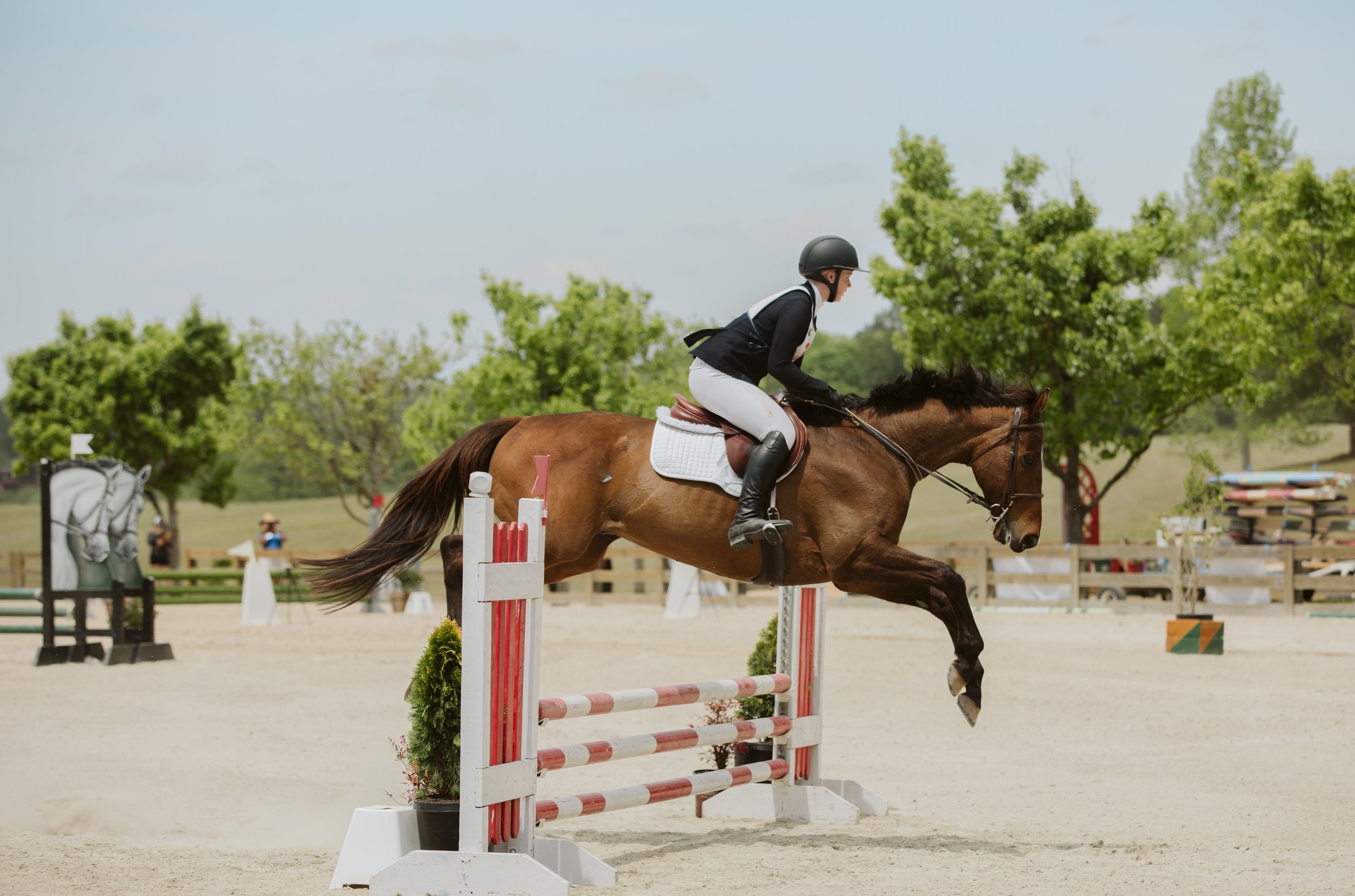 stephany-barboza-equestrian-ga-photographer1K9A8242.jpg