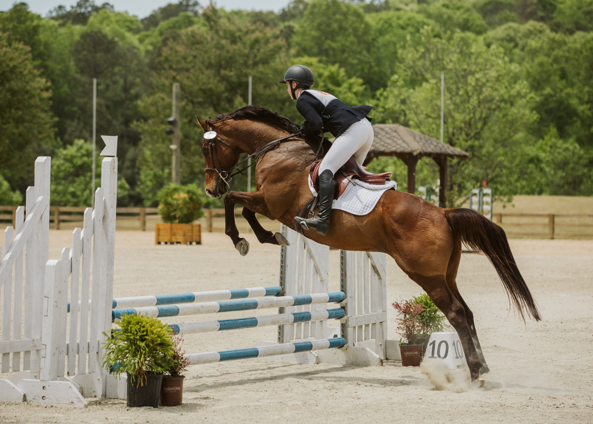 stephany-barboza-equestrian-ga-photographer1K9A8254 2.jpg