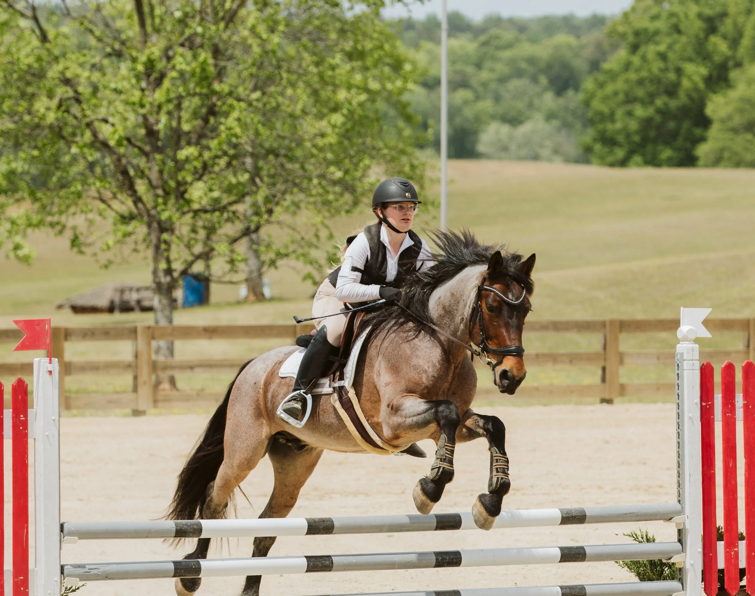 stephany-barboza-equestrian-ga-photographer1K9A8323.jpg