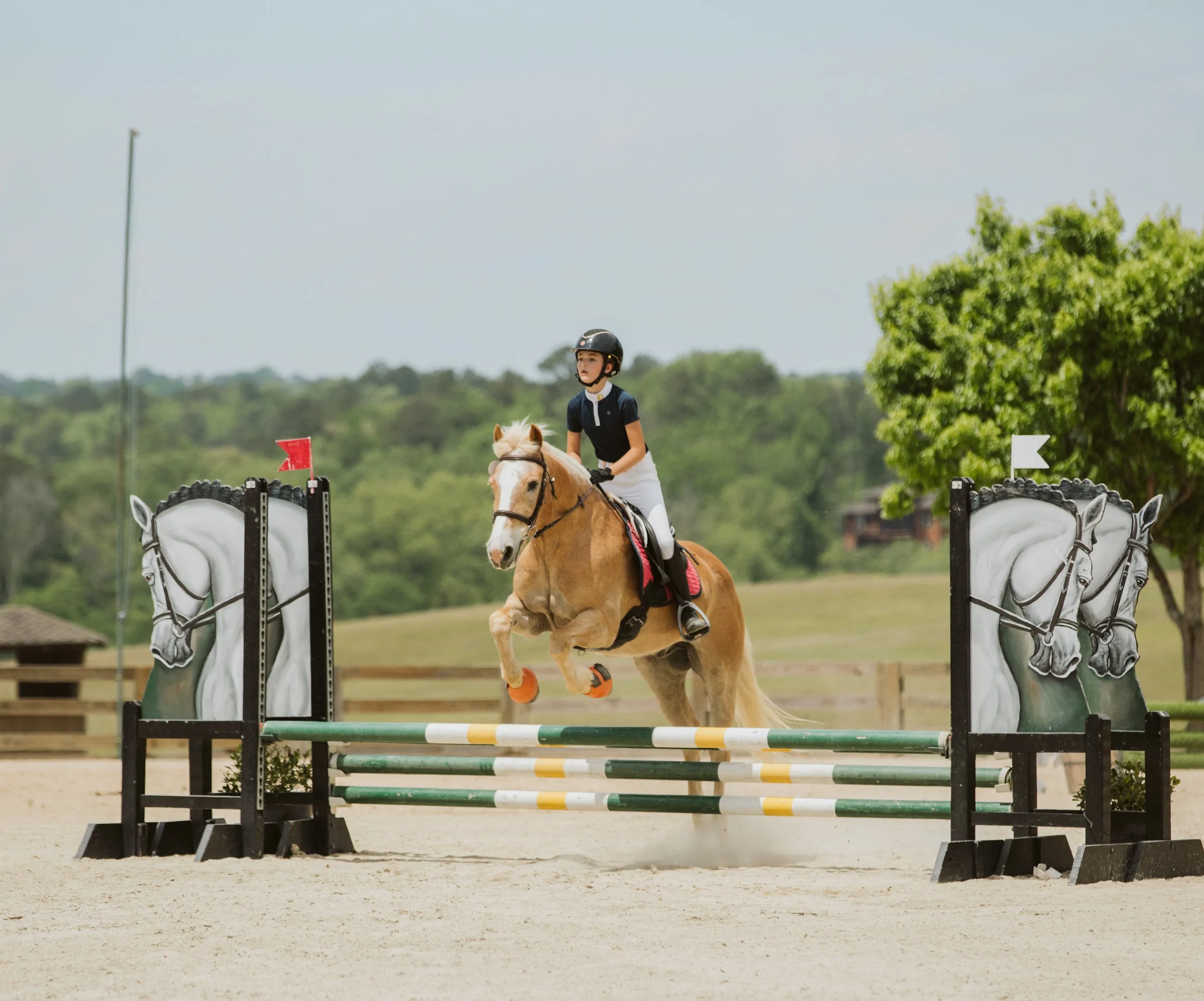 stephany-barboza-equestrian-ga-photographer1K9A8306.jpg