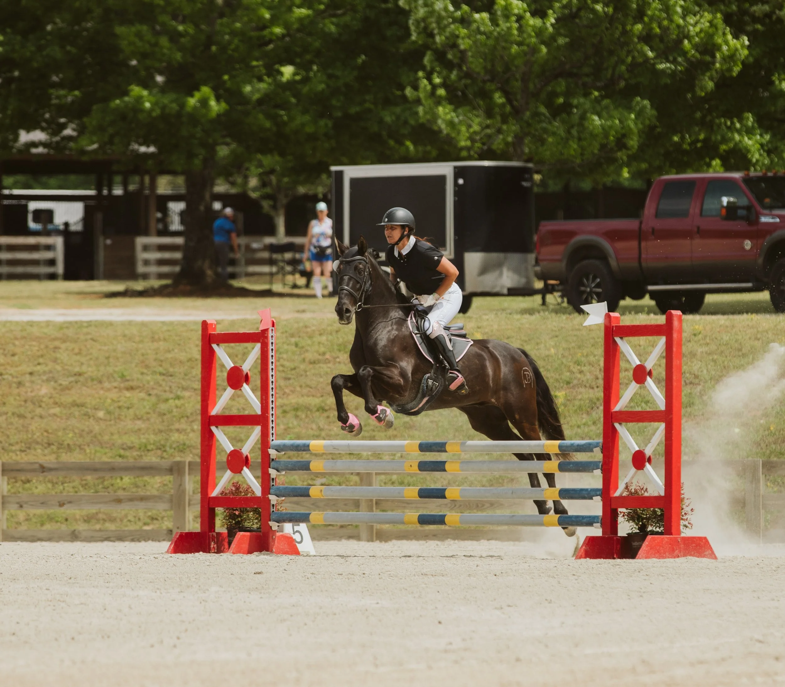 stephany-barboza-equestrian-ga-photographer1K9A8407.jpg