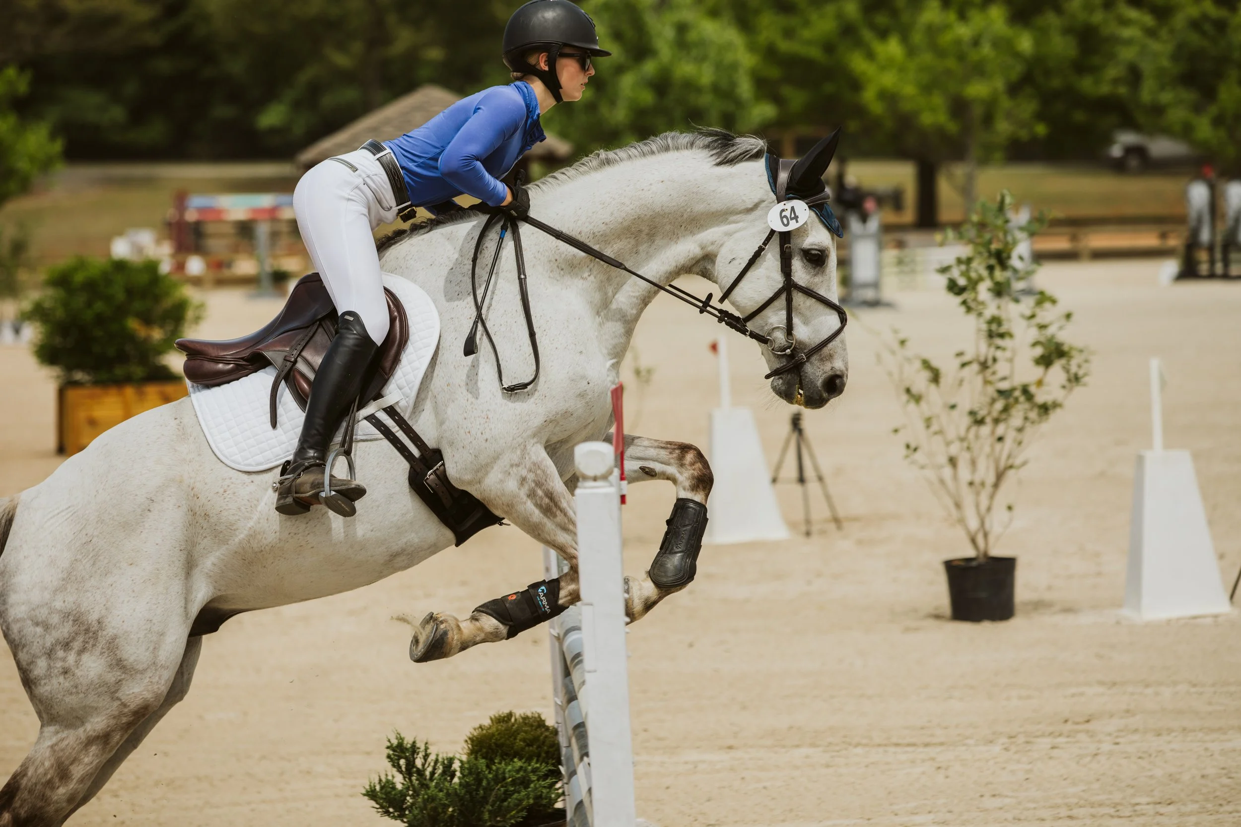 stephany-barboza-equestrian-ga-photographer1K9A8490.jpg