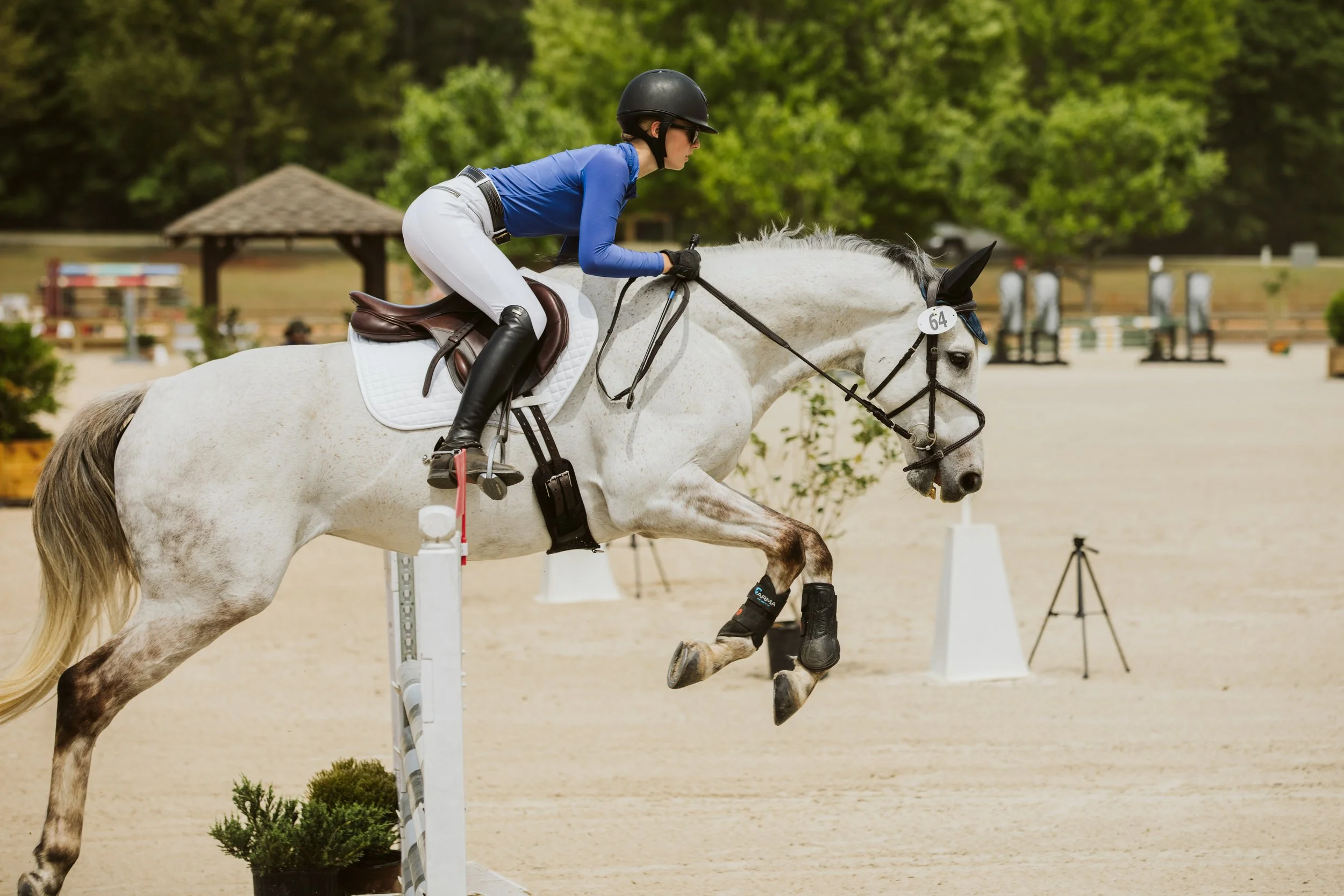 stephany-barboza-equestrian-ga-photographer1K9A8491 3.jpg