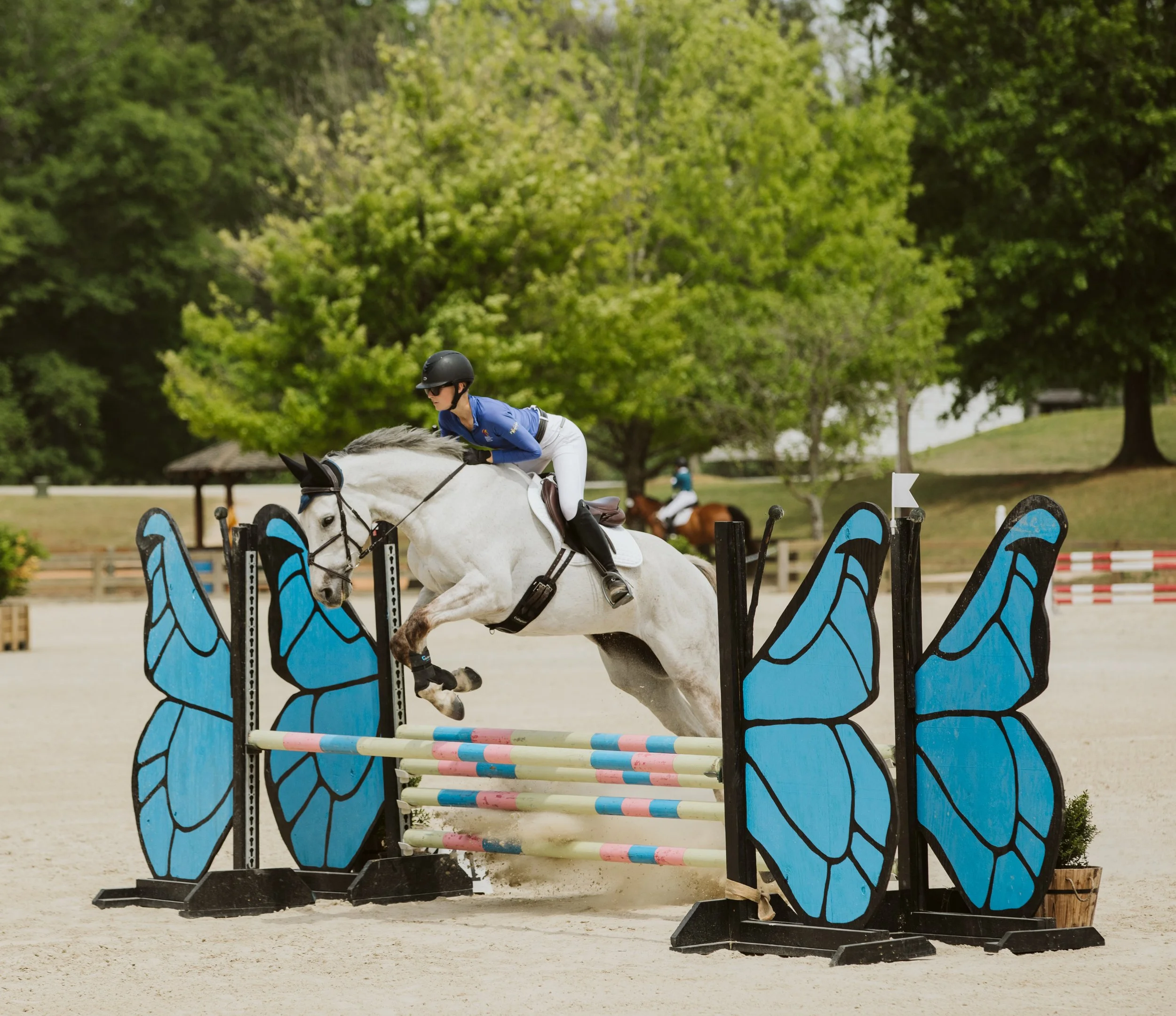 stephany-barboza-equestrian-ga-photographer1K9A8511.jpg