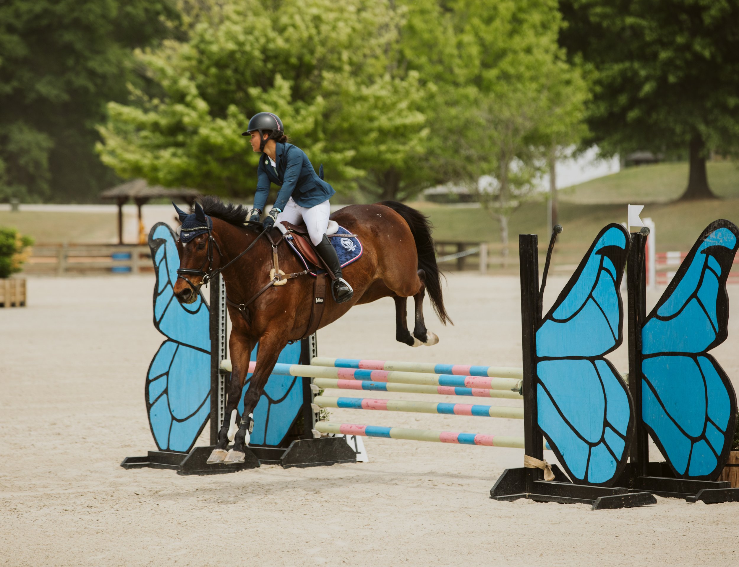 stephany-barboza-equestrian-ga-photographer1K9A8538.jpg