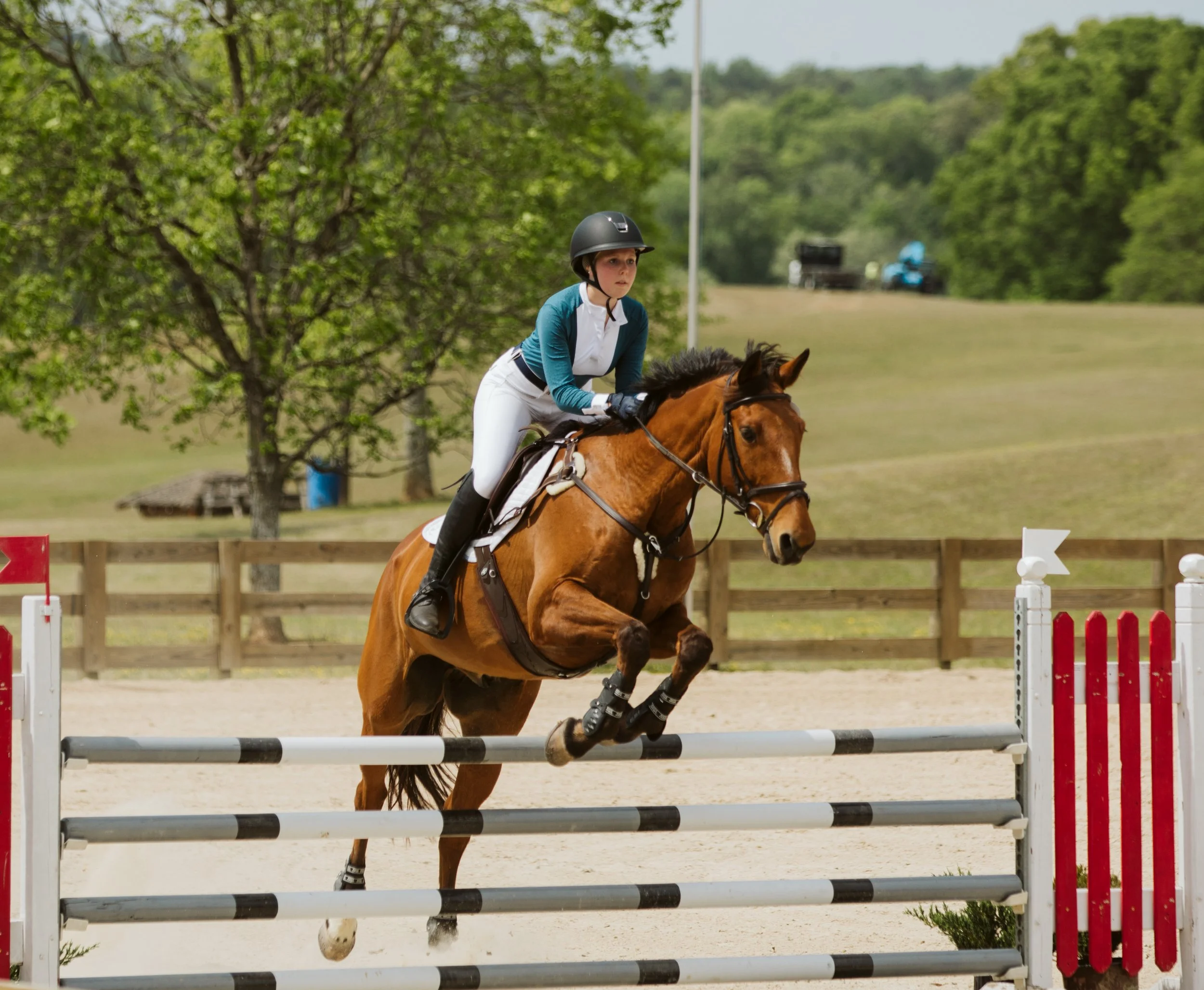 stephany-barboza-equestrian-ga-photographer1K9A8599.jpg