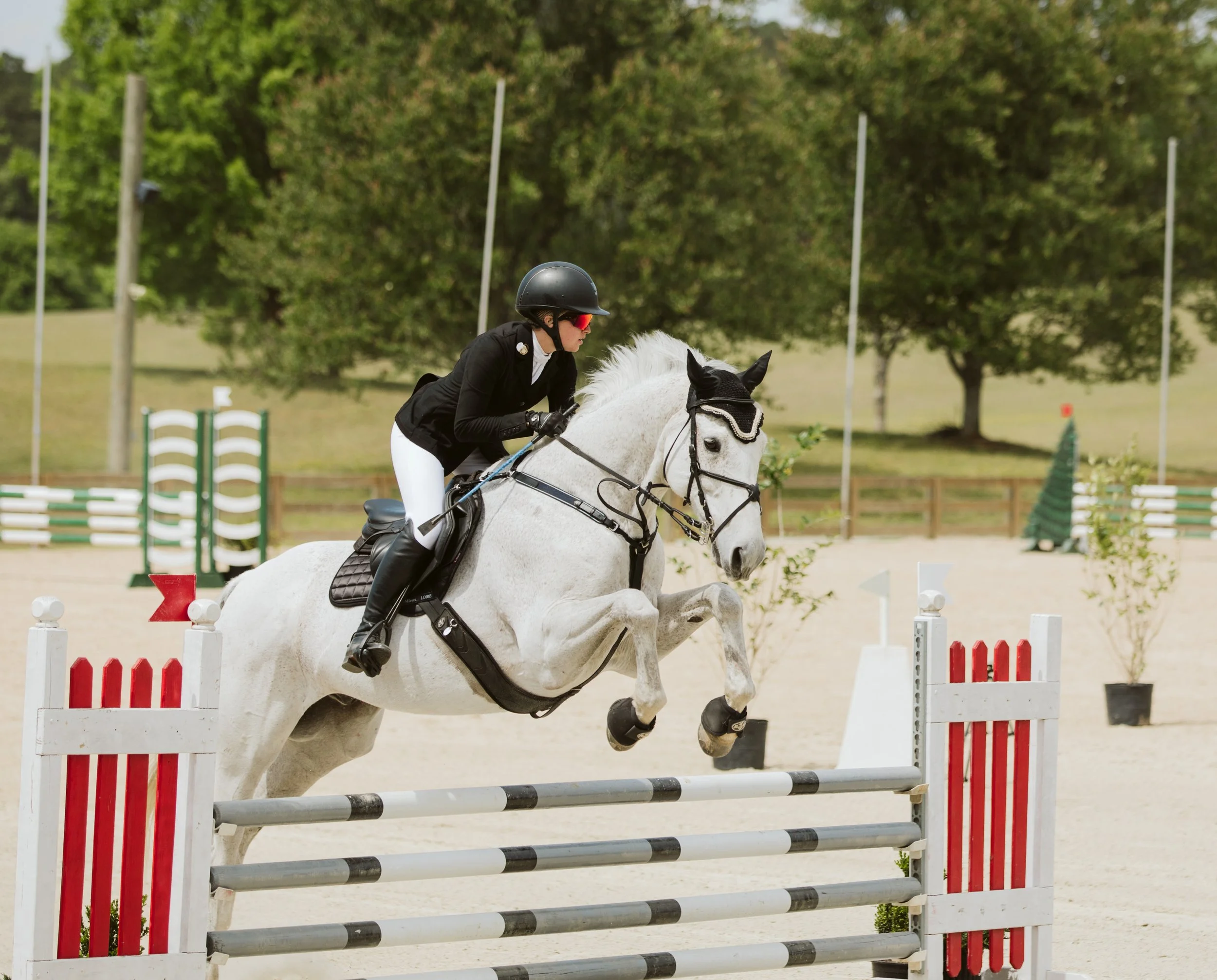 stephany-barboza-equestrian-ga-photographer1K9A8575.jpg