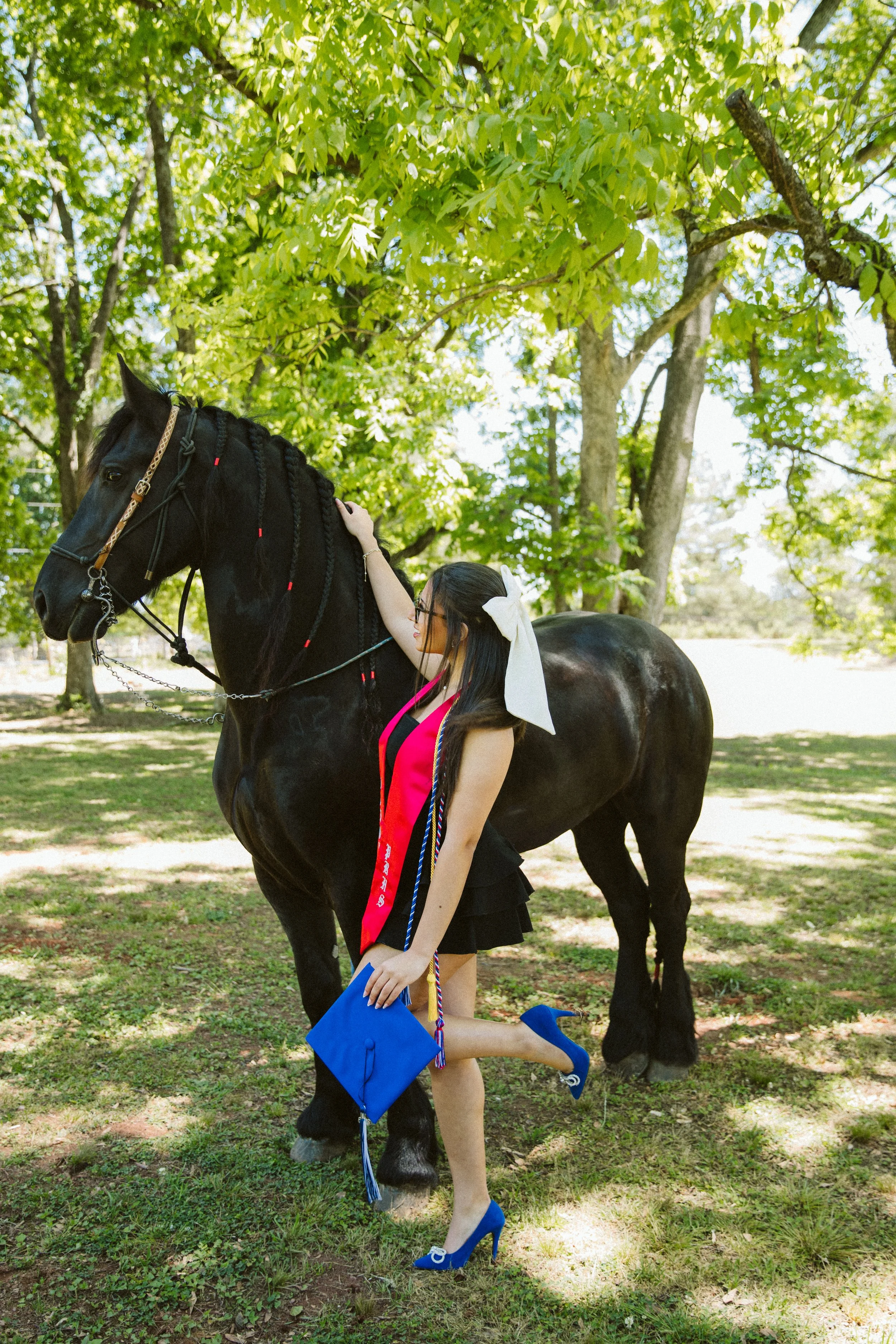 Blue graduation cap and horse senior portraits