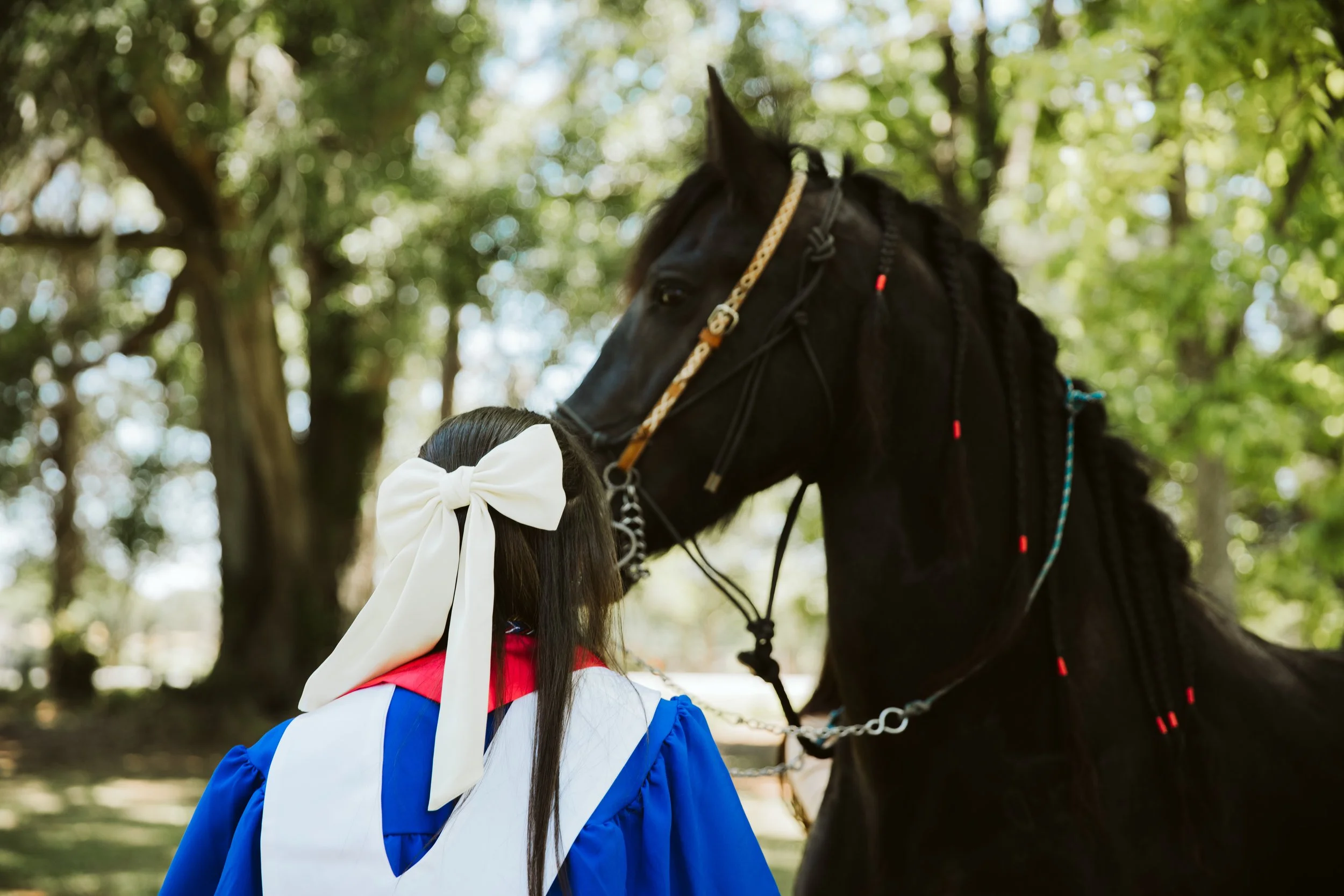 Blue cap and gown horse senior session