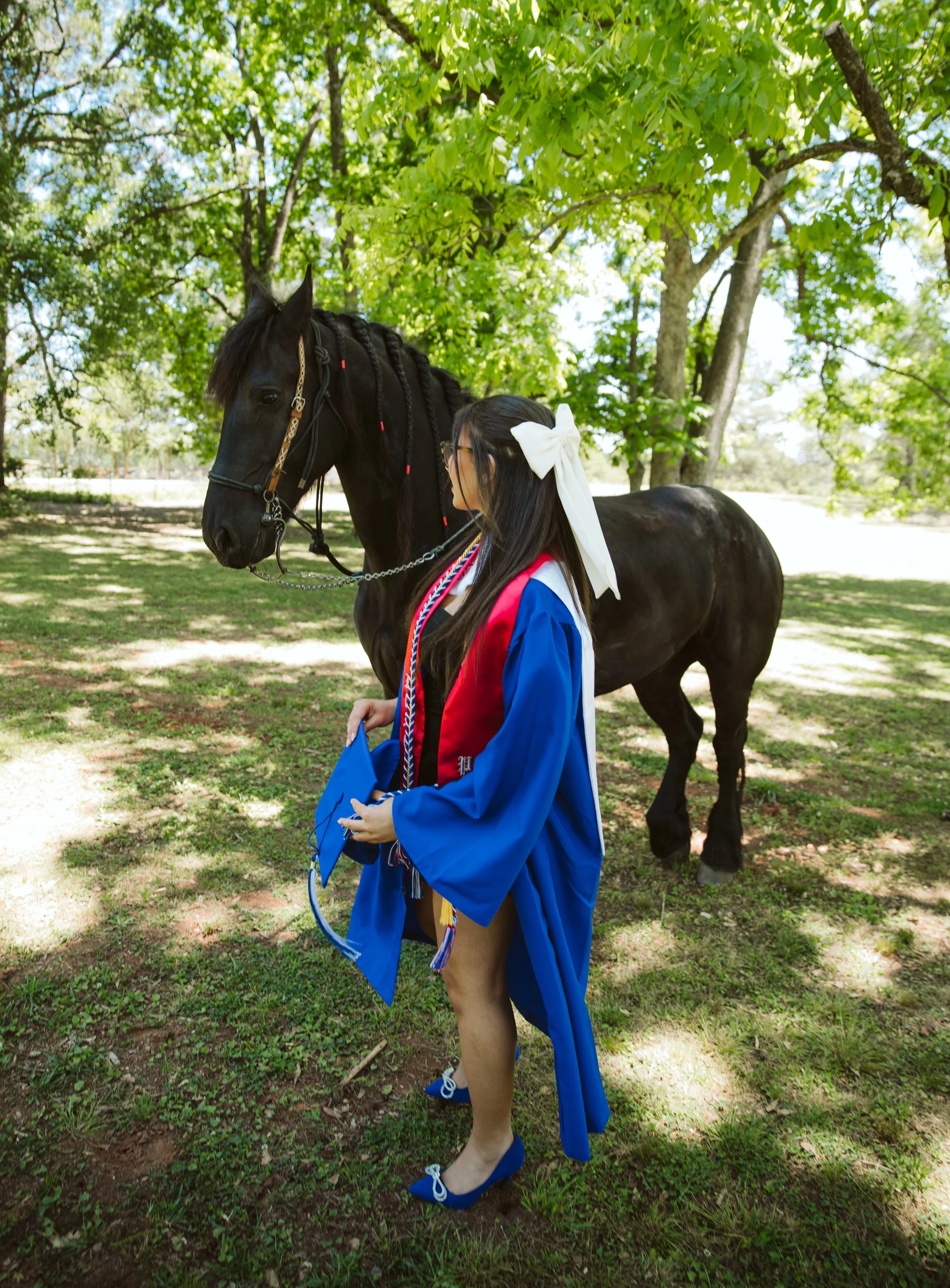 Outdoor senior horse photography in Georgia