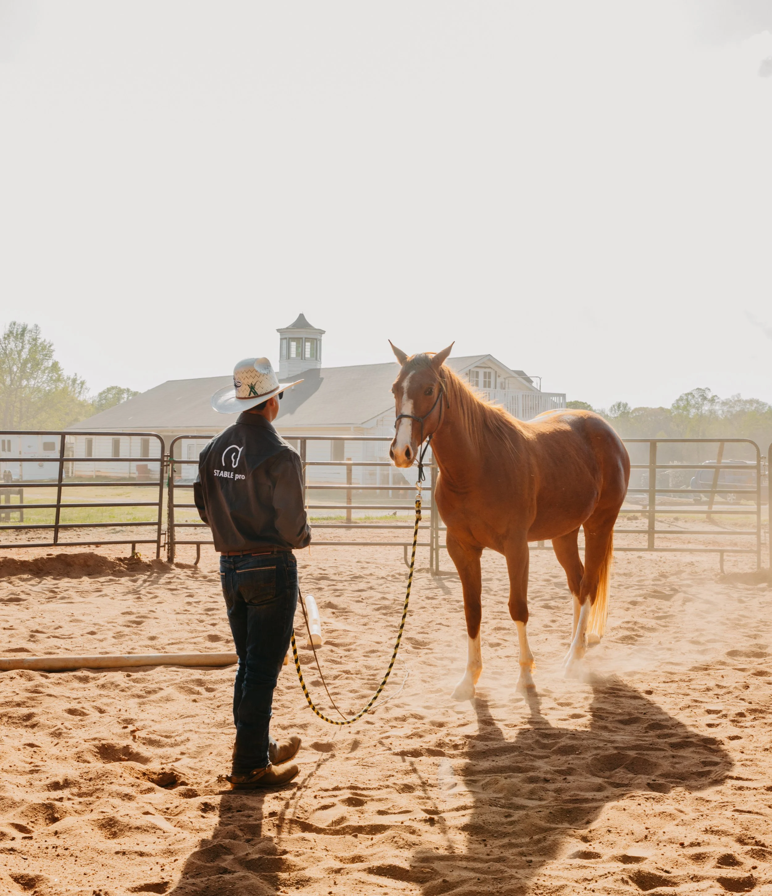 stephany-barboza-ga-equine-photographer1K9A4943 3.JPG