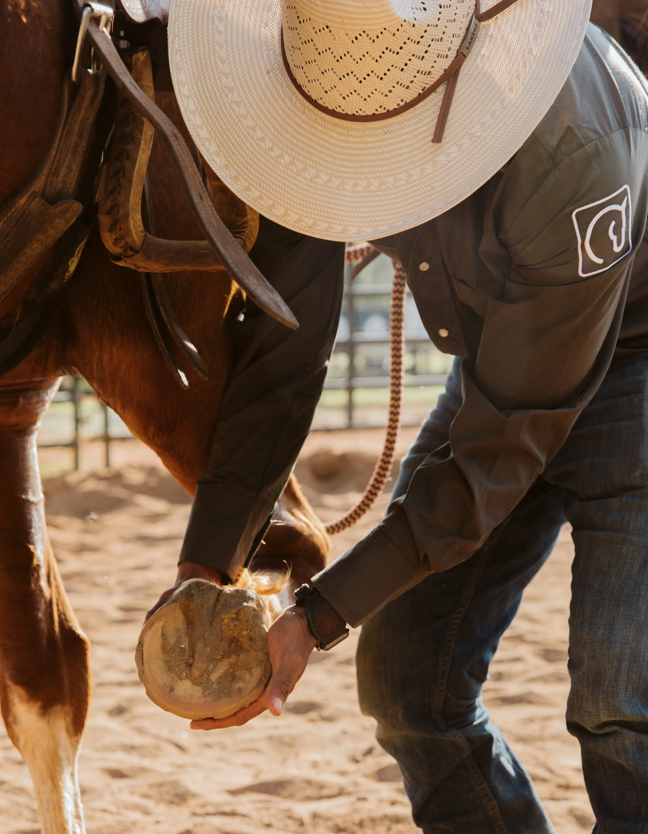stephany-barboza-ga-equine-photographer1K9A5148.JPG