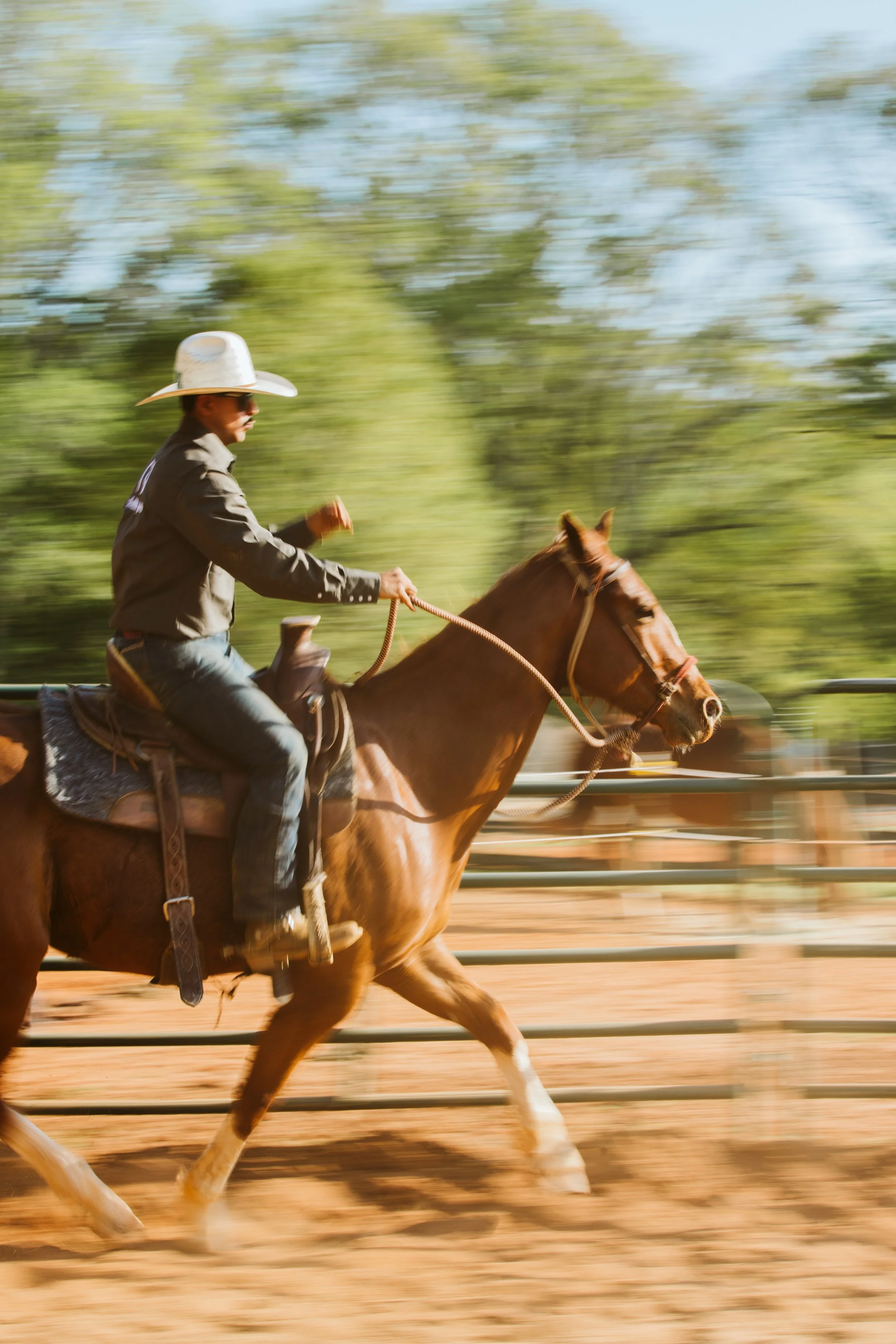 stephany-barboza-ga-horse-photographerIMG_8768 2.JPG