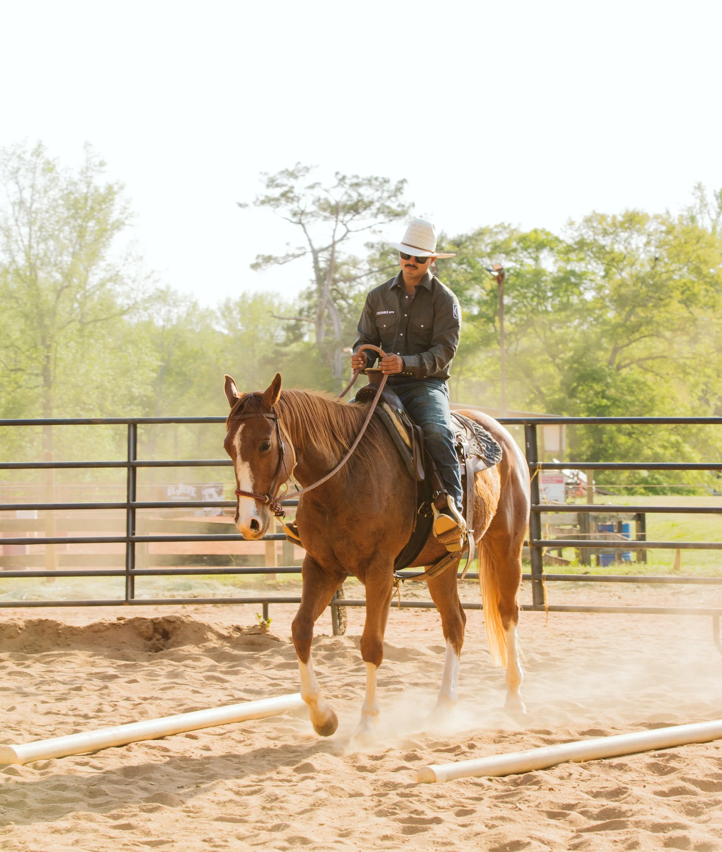 stephany-barboza-ga-horse-photographerIMG_8807.JPG