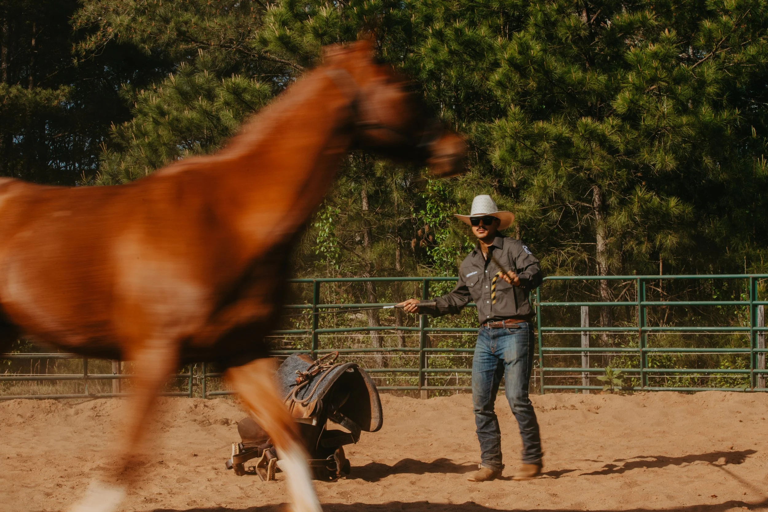 StablePro Cowboy Branding Session