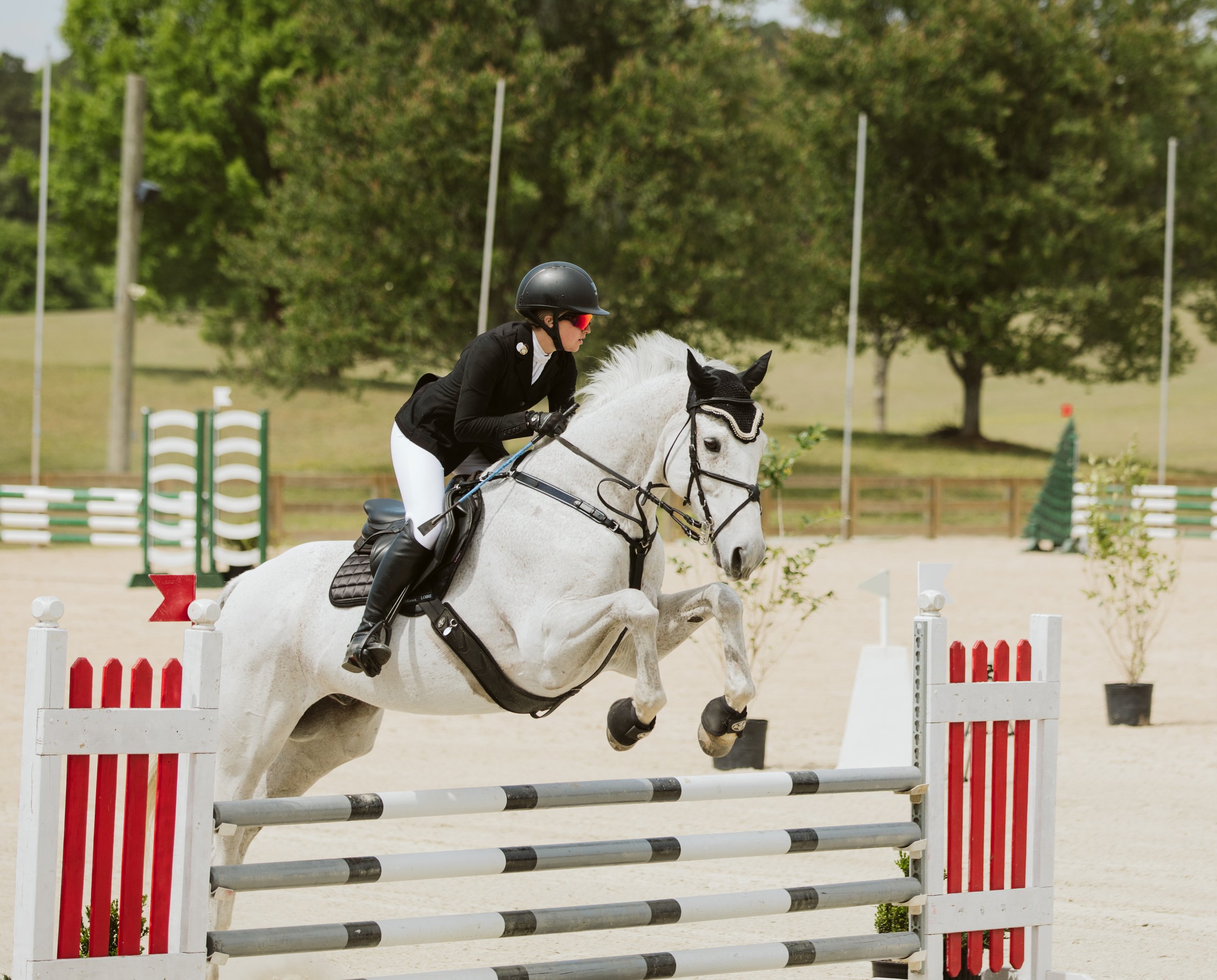 South Region Pony Club Eventing Rally at Bouckaert Farm | 