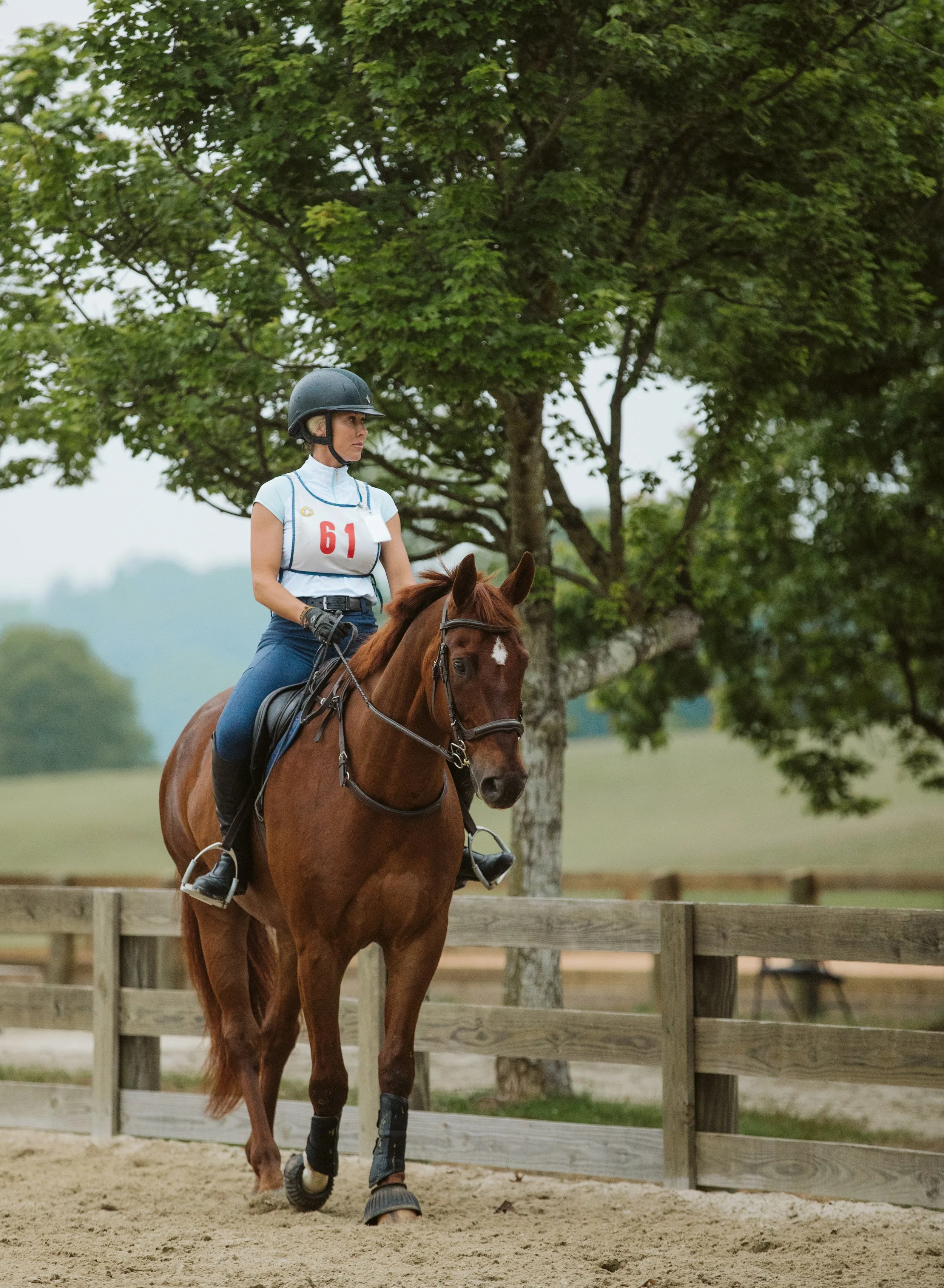 stephany-barboza-ga-show-jumping-photographer1K9A0097.JPG