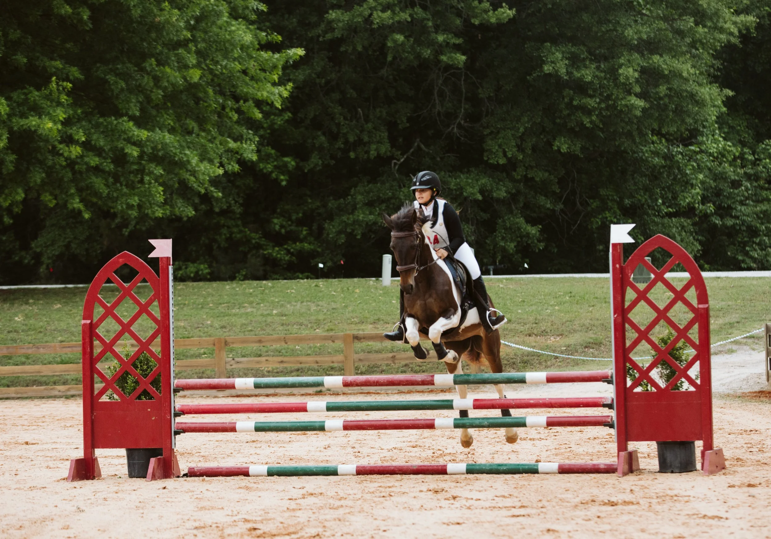 stephany-barboza-ga-show-jumping-photographer1K9A0221.JPG