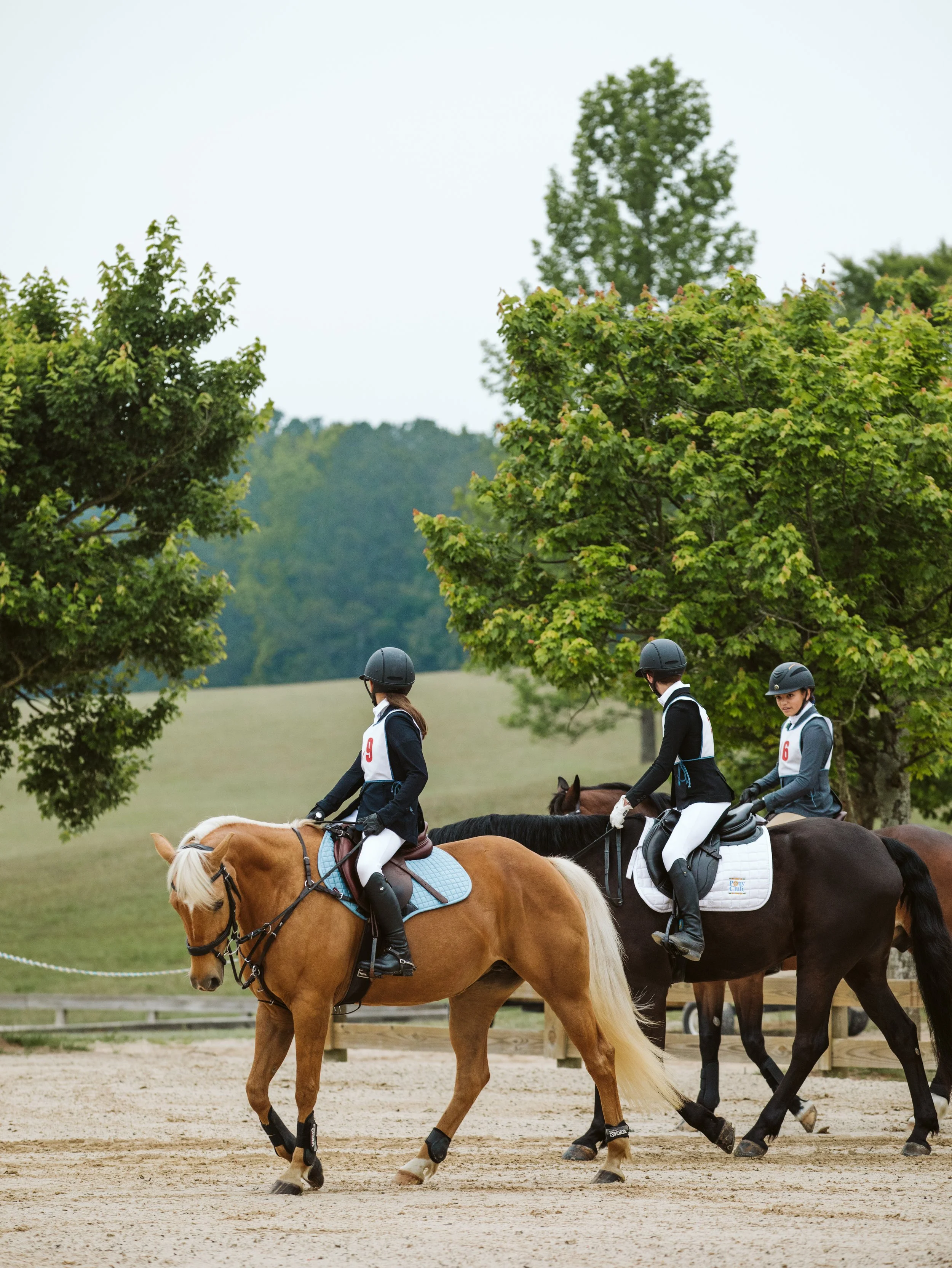stephany-barboza-ga-show-jumping-photographer1K9A9424 2.JPG