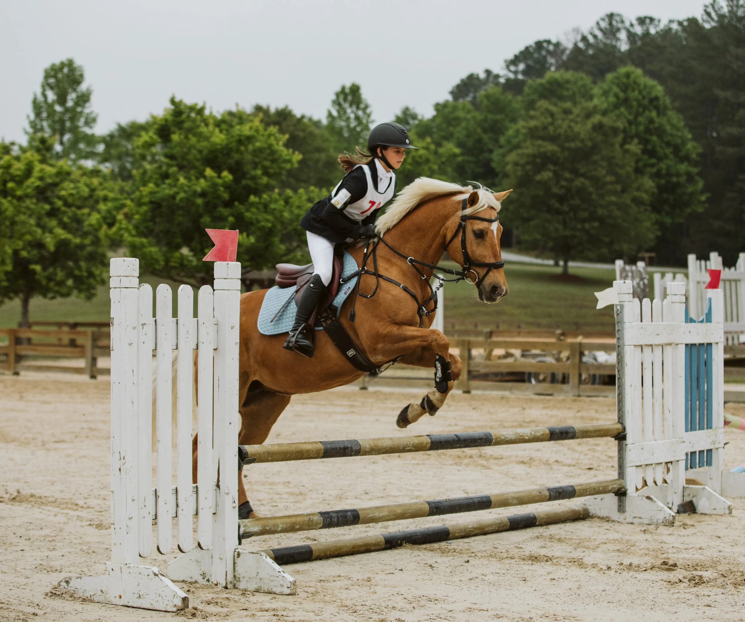 stephany-barboza-ga-show-jumping-photographer1K9A9529.JPG