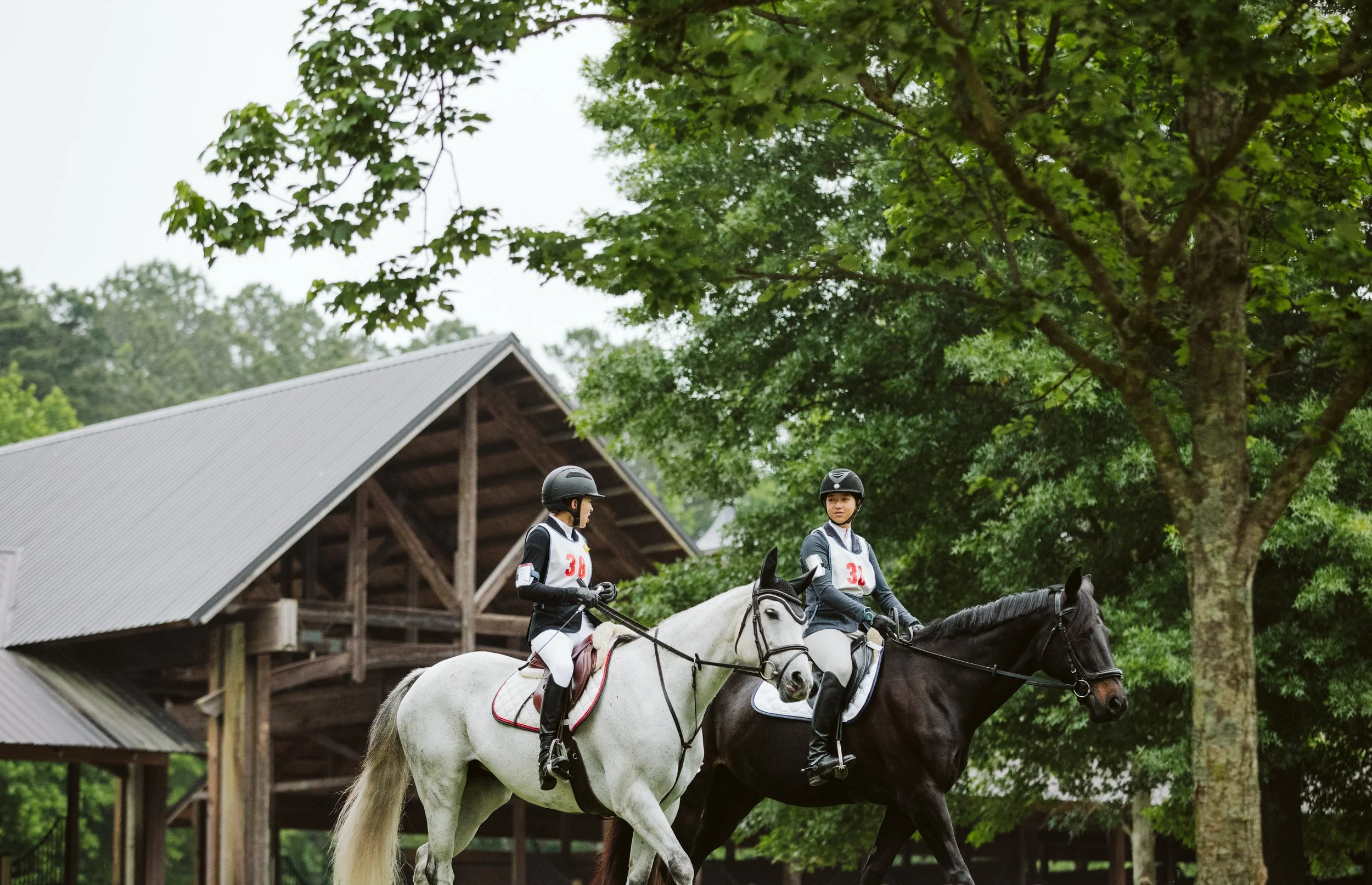 stephany-barboza-ga-show-jumping-photographer1K9A9569.JPG