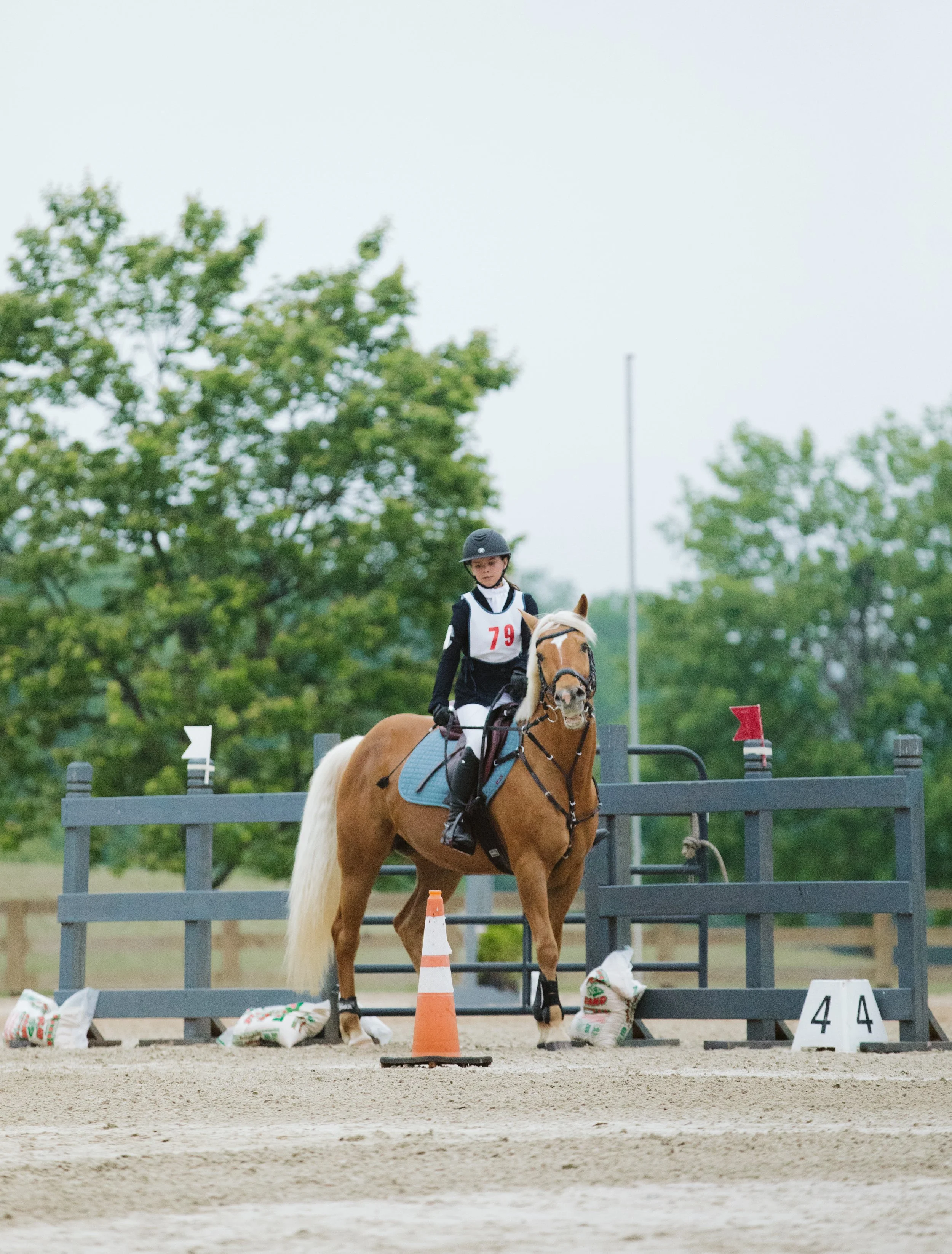 stephany-barboza-ga-show-jumping-photographer1K9A9655.JPG