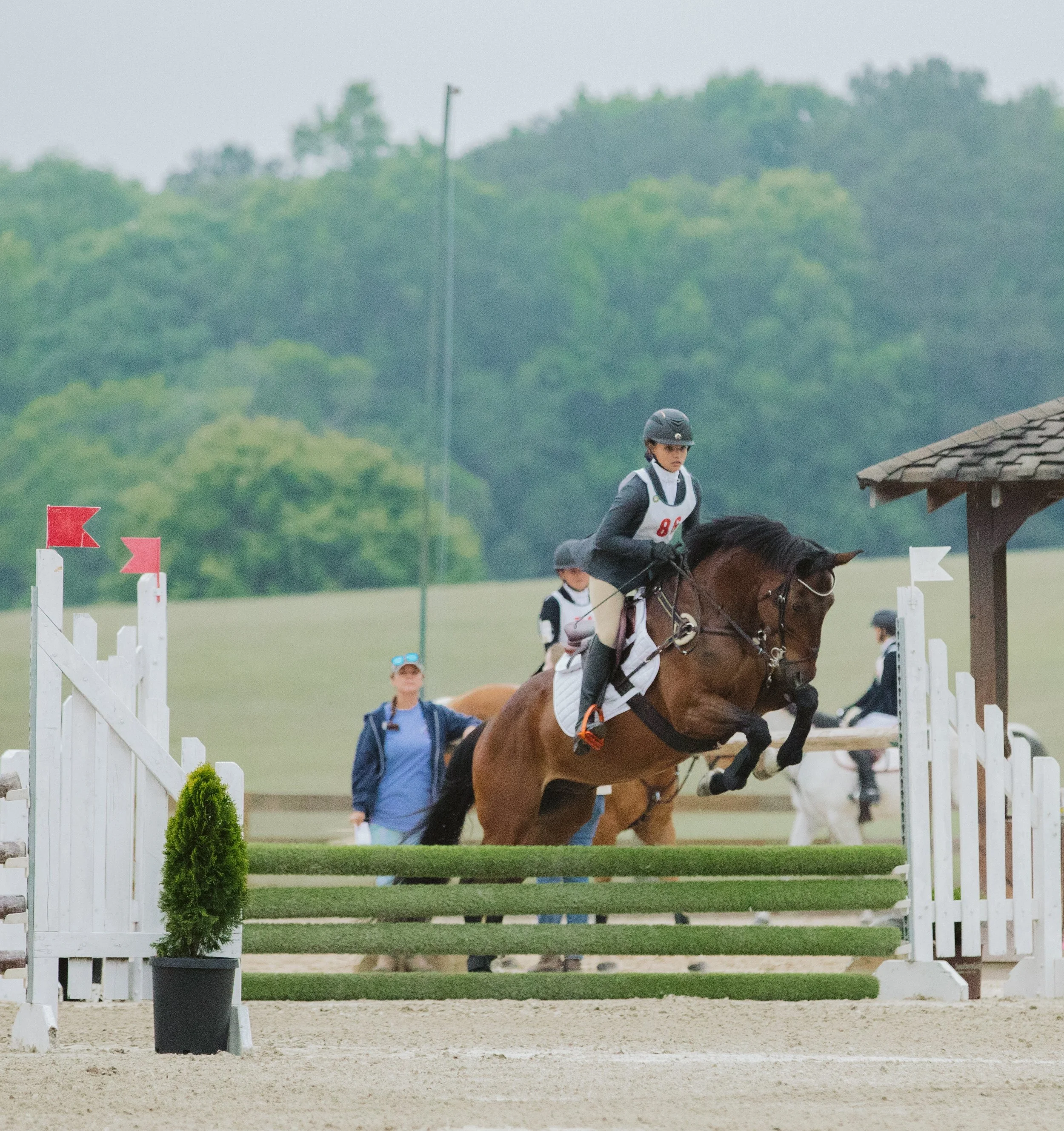 stephany-barboza-ga-show-jumping-photographer1K9A9710.JPG