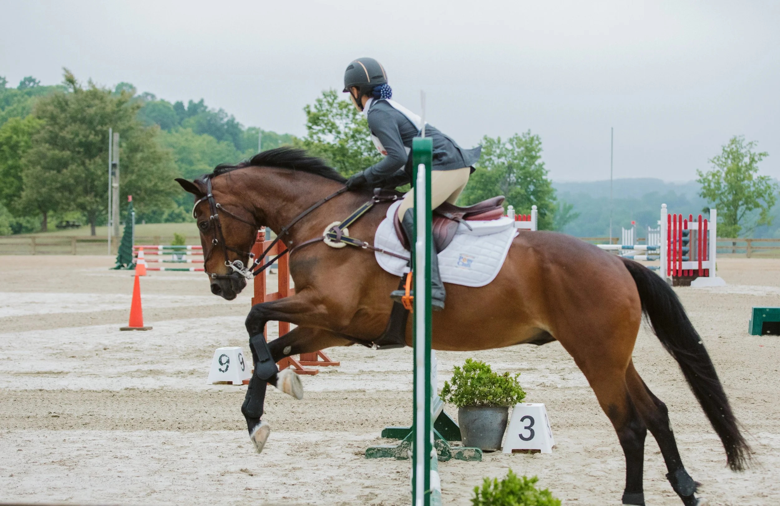 stephany-barboza-ga-show-jumping-photographer1K9A9717.JPG